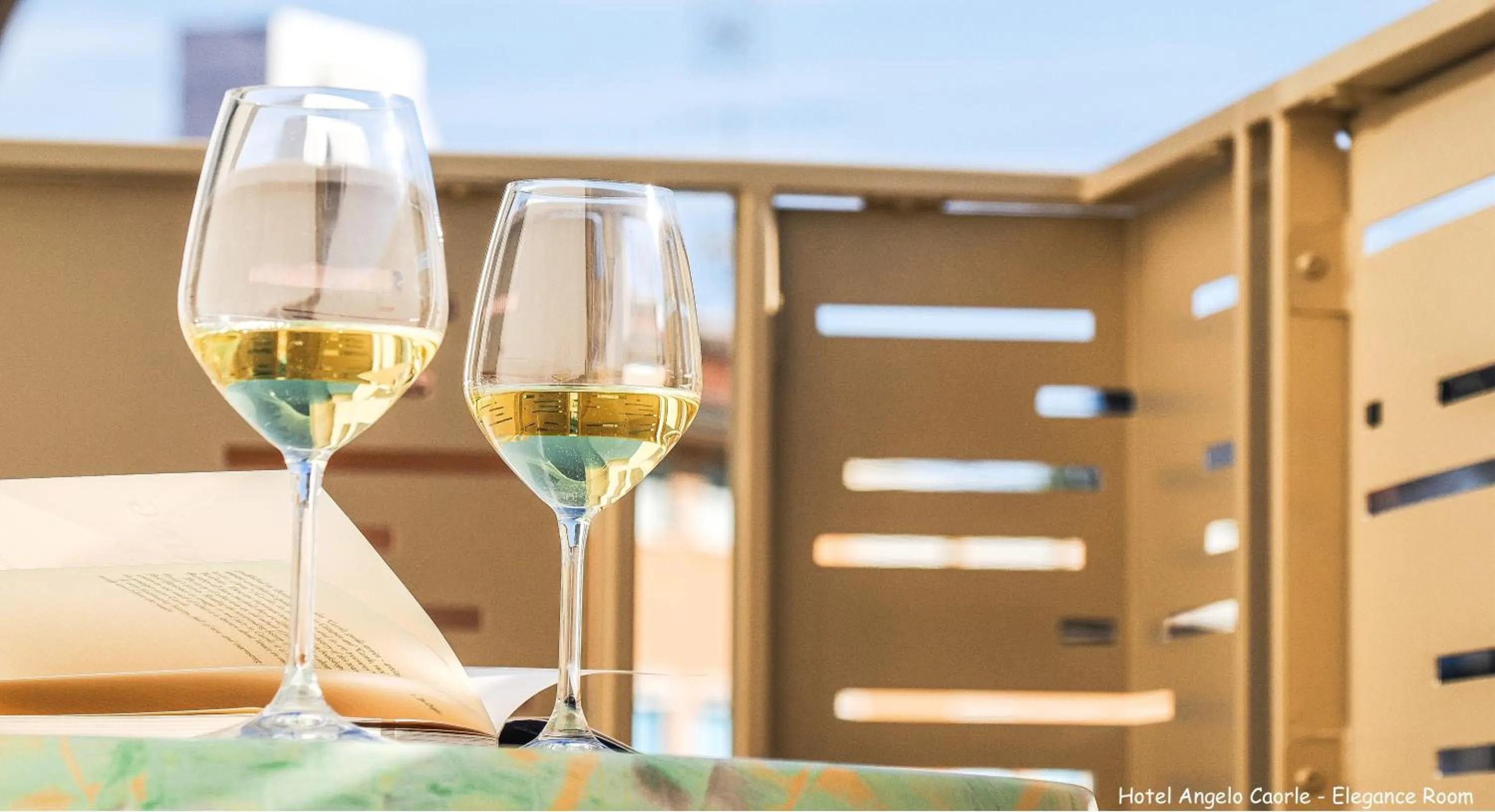 Balcony/Terrace in Hotel Angelo