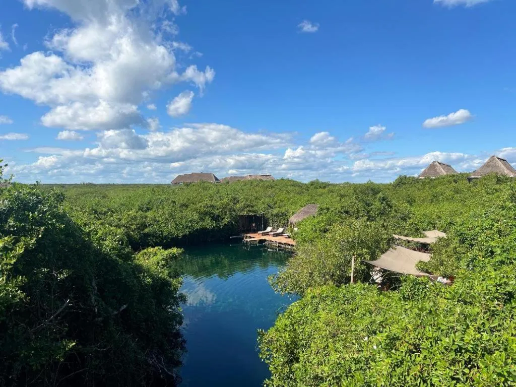 Day in Cabañas Tulum - Aldea Mangle & Cenote