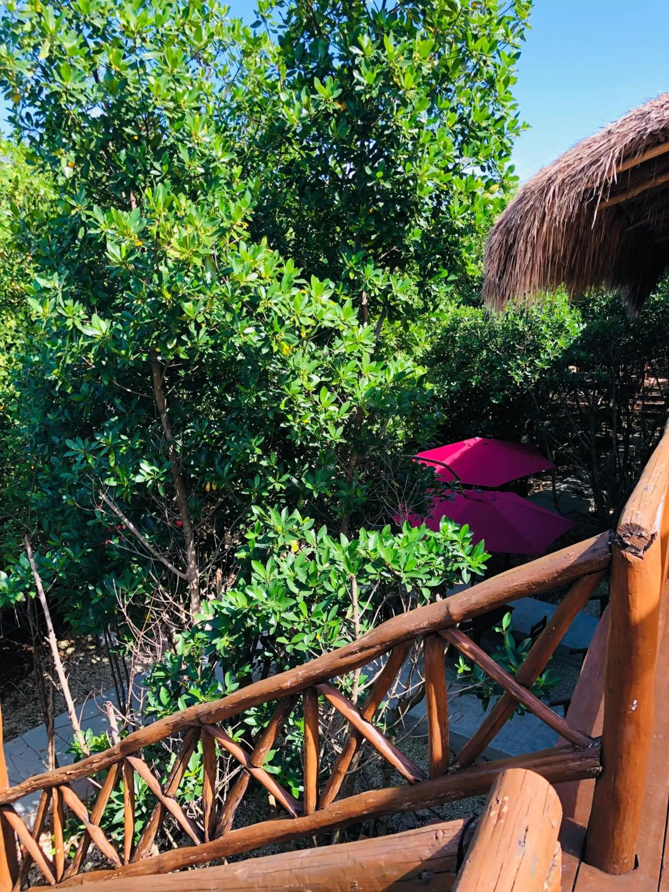 Cabañas Tulum - Aldea Mangle & Cenote