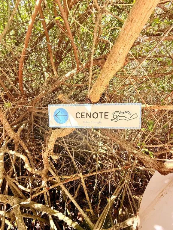 Logo/Certificate/Sign in Cabañas Tulum - Aldea Mangle & Cenote