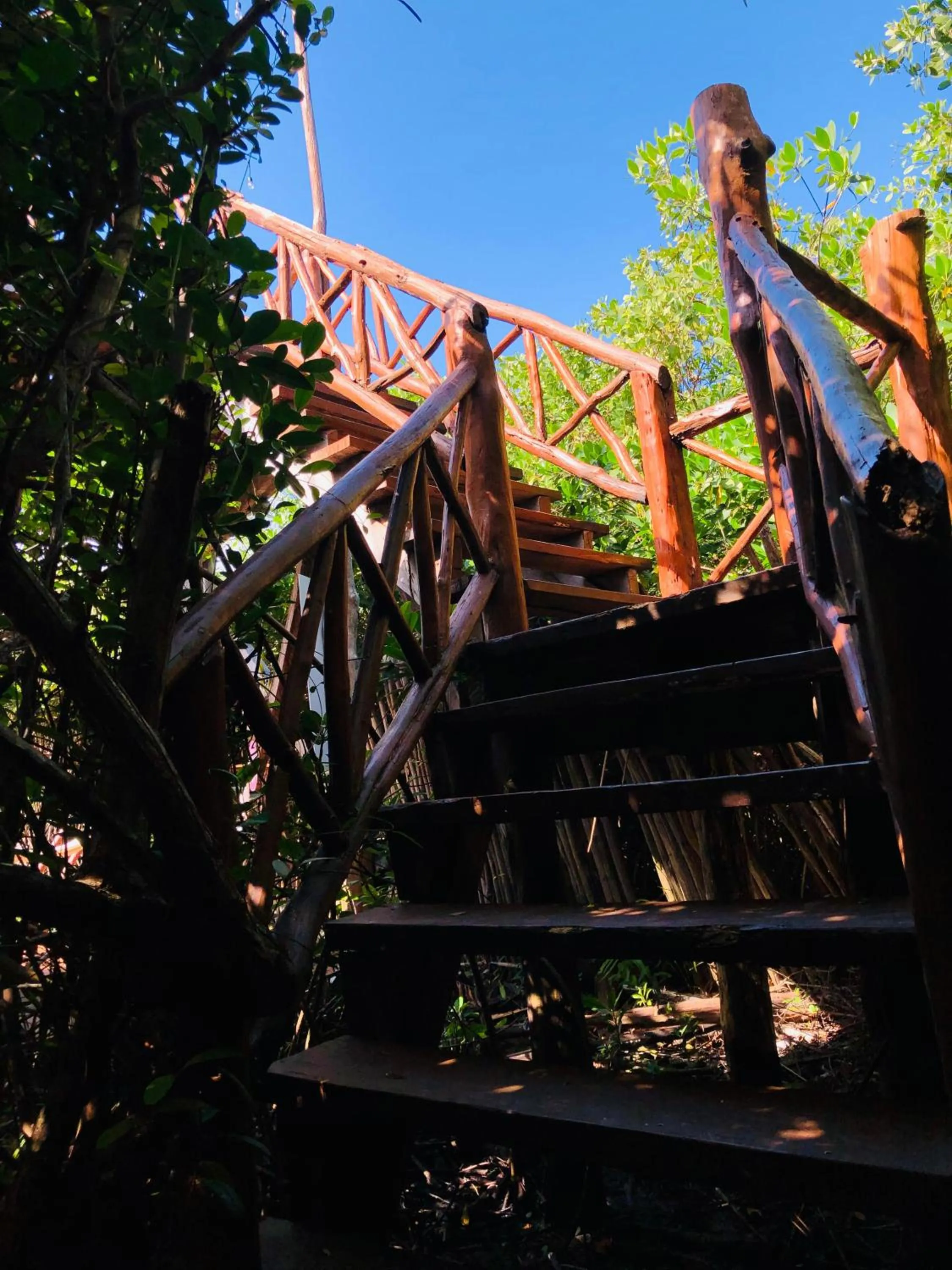 Cabañas Tulum - Aldea Mangle & Cenote