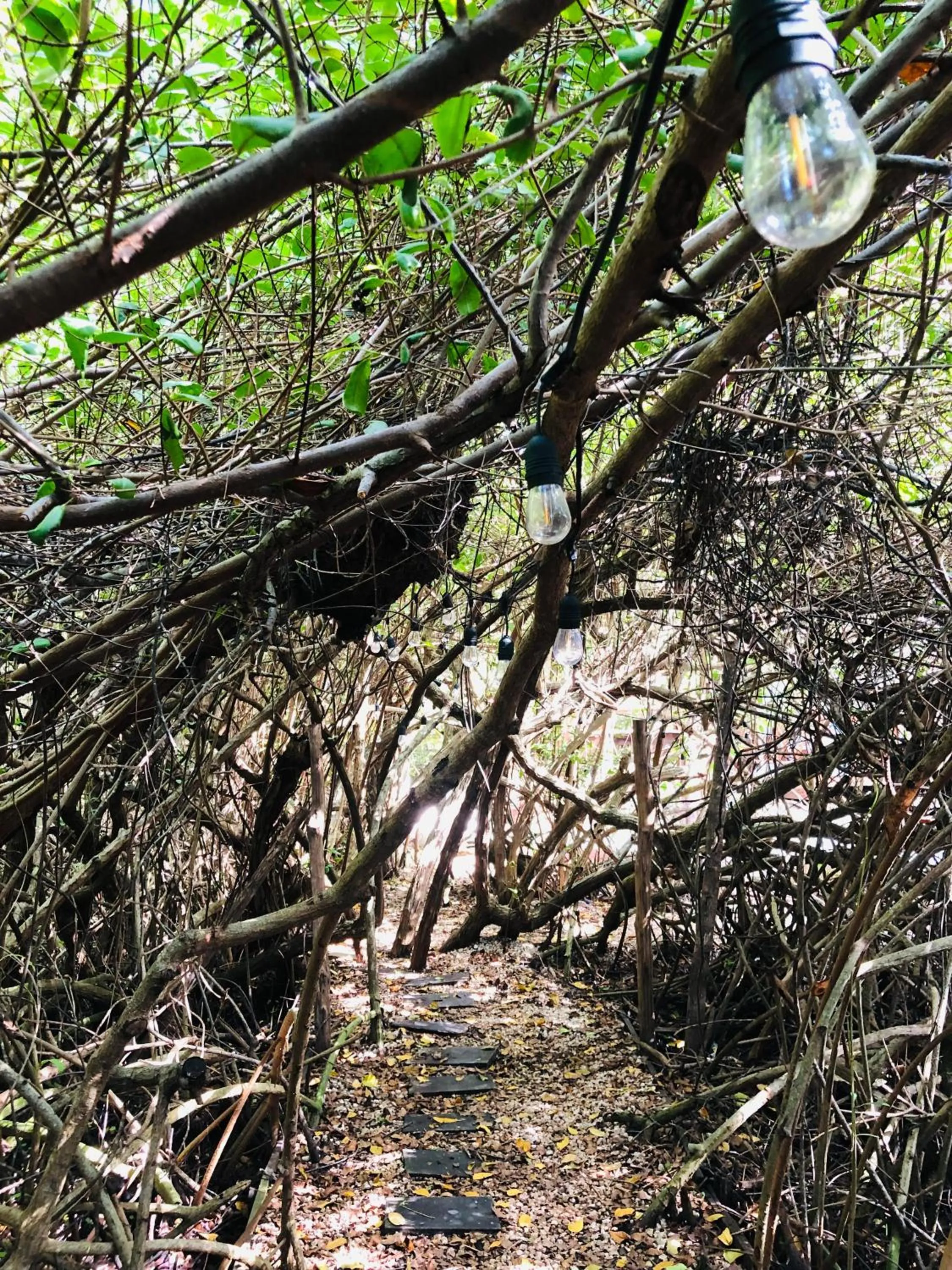 Cabañas Tulum - Aldea Mangle & Cenote