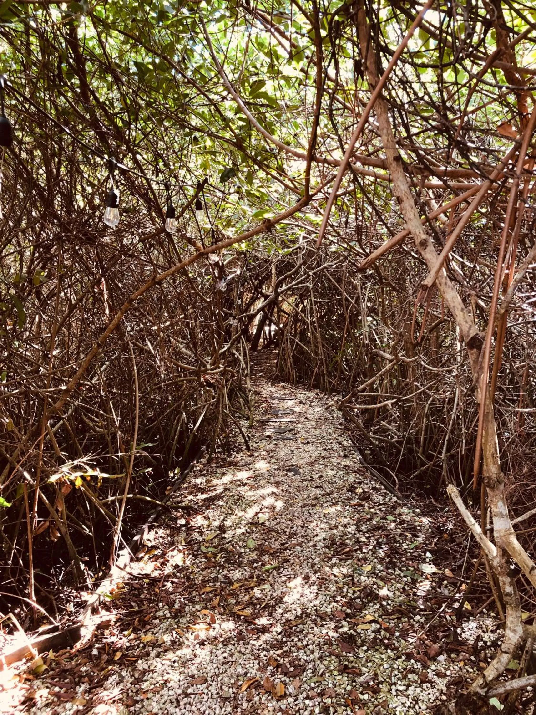 Day in Cabañas Tulum - Aldea Mangle & Cenote
