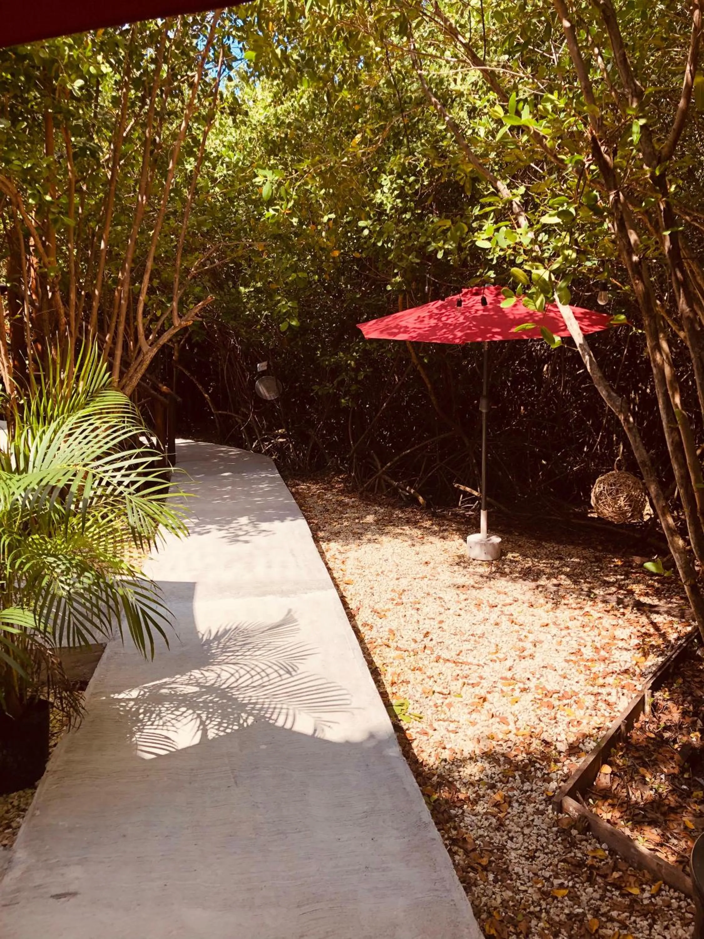 Patio in Cabañas Tulum - Aldea Mangle & Cenote
