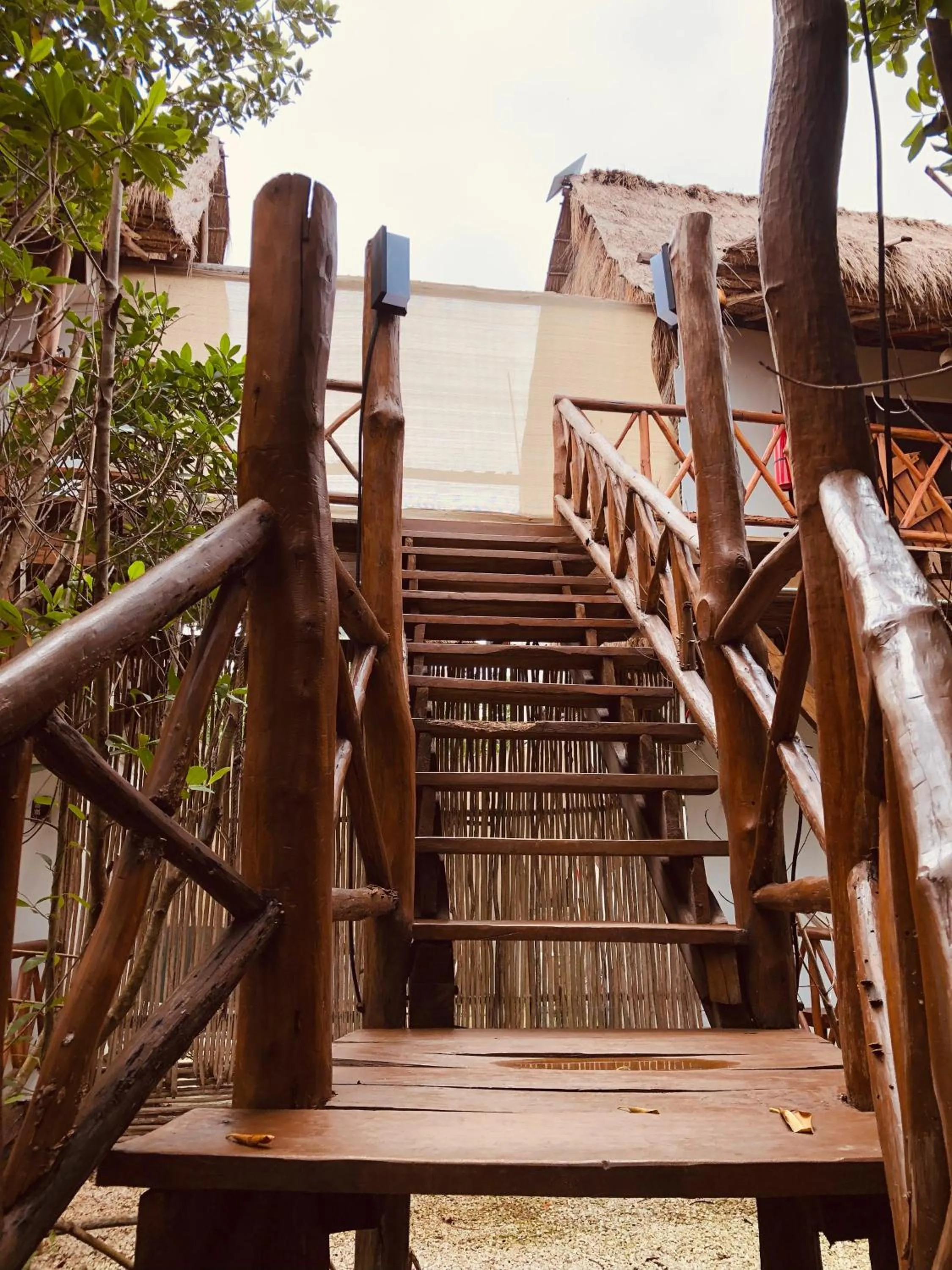 Day in Cabañas Tulum - Aldea Mangle & Cenote