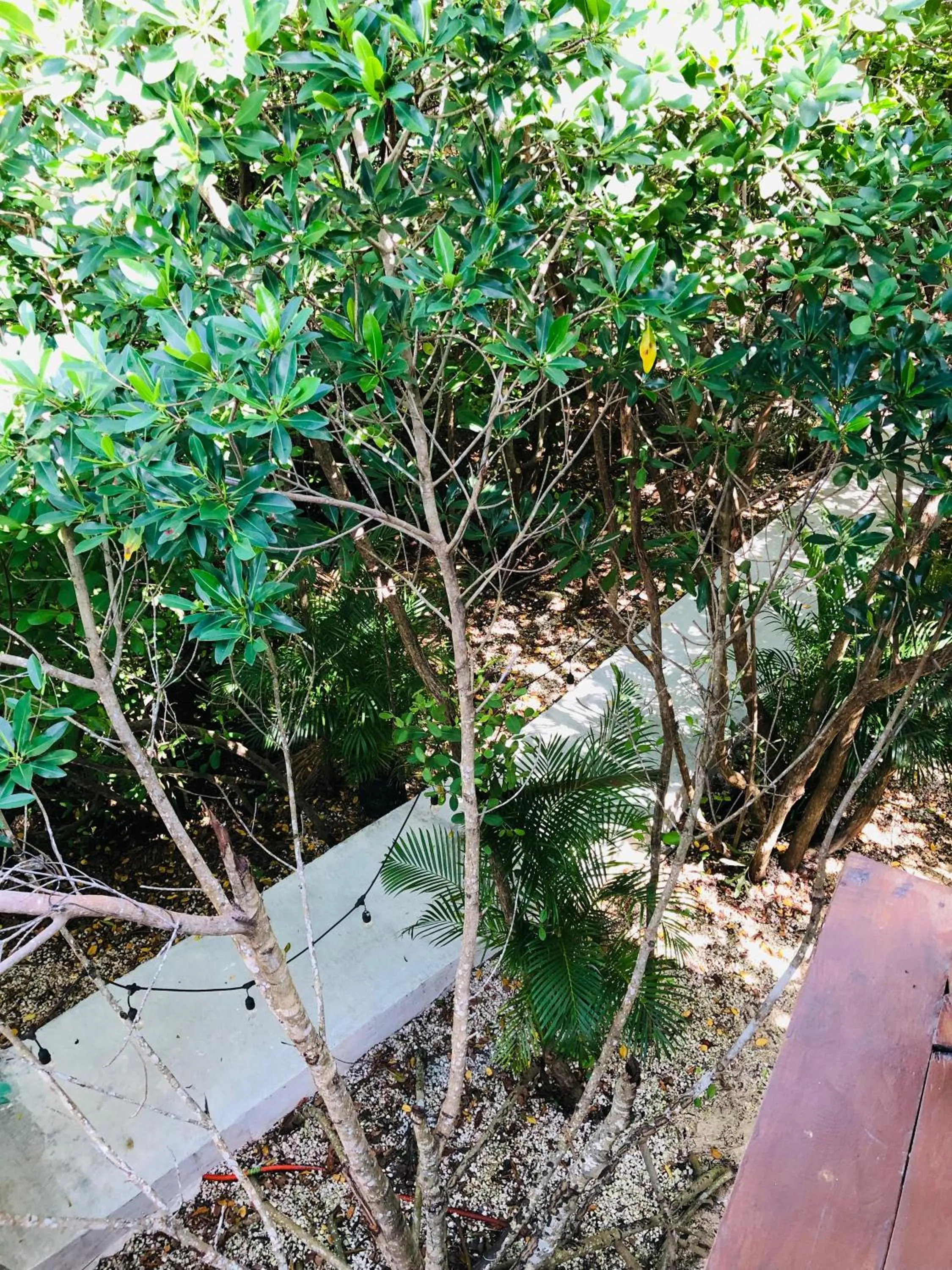 Cabañas Tulum - Aldea Mangle & Cenote