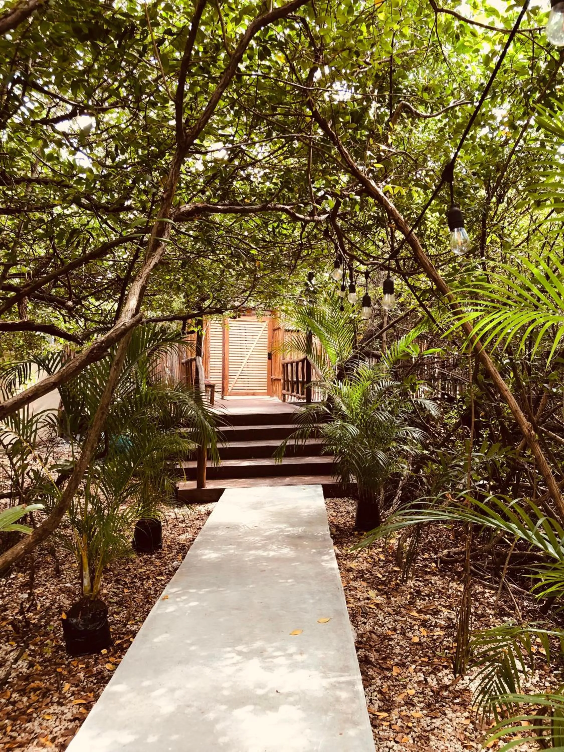 Day in Cabañas Tulum - Aldea Mangle & Cenote