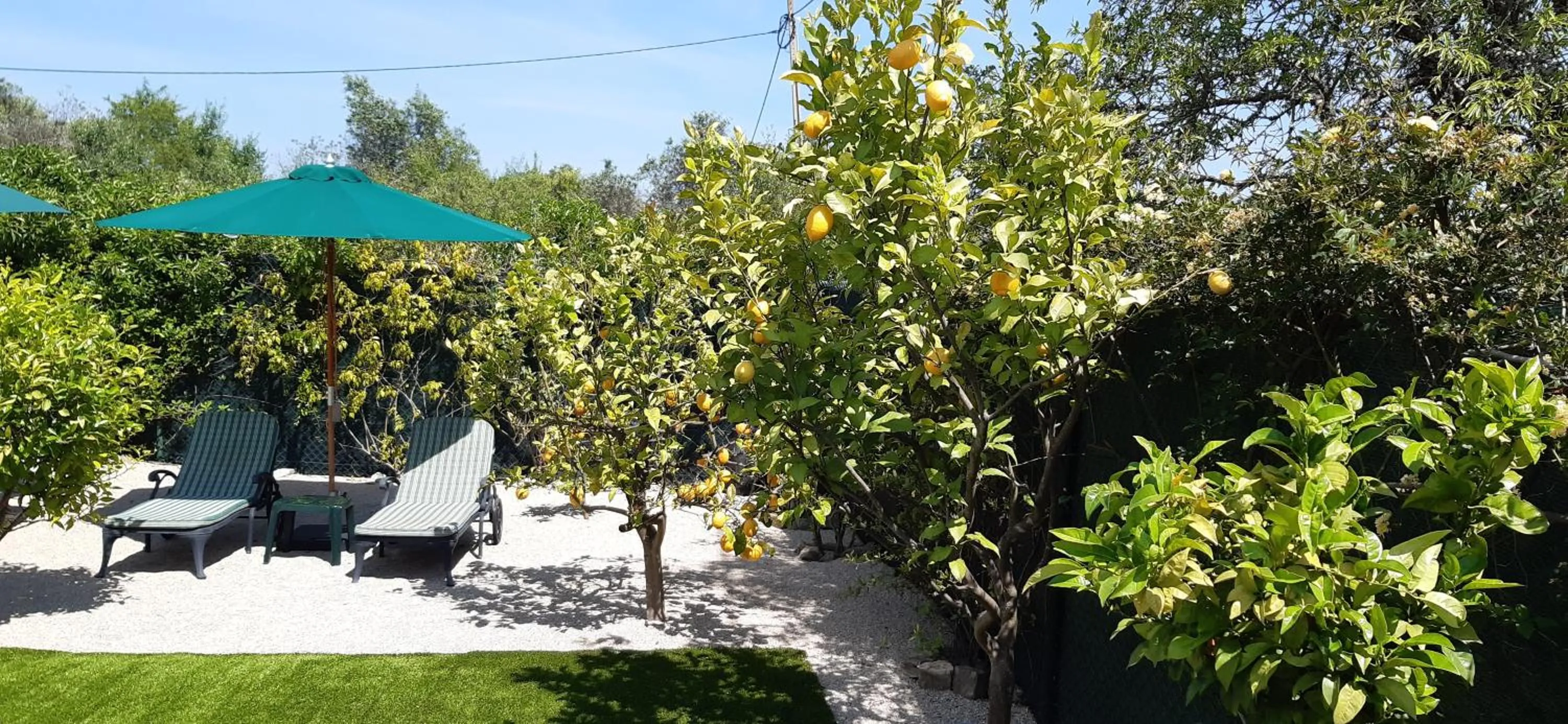 Garden in ApraHouseLoule Guesthouse