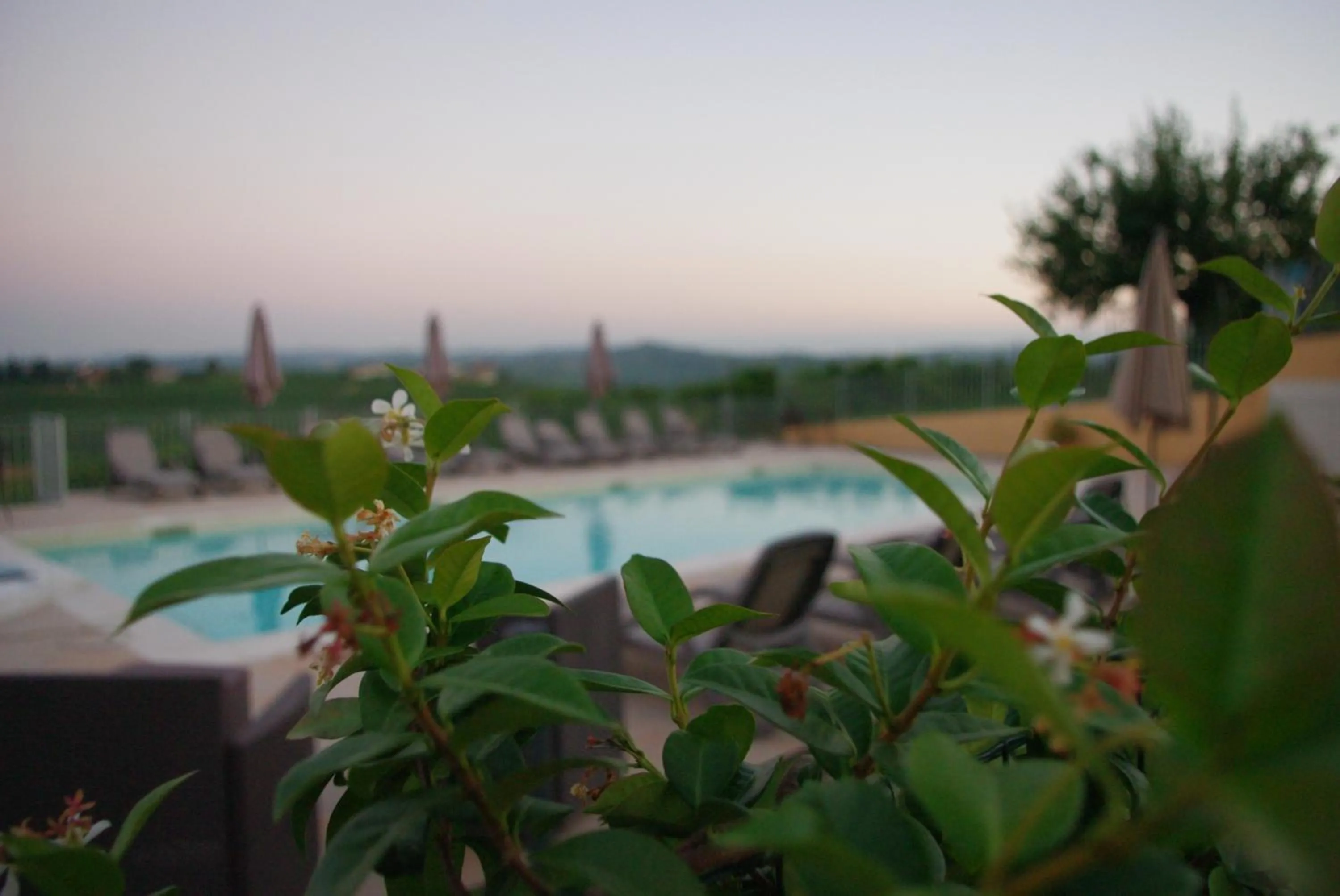 Swimming pool in NaturalMente Wine Resort
