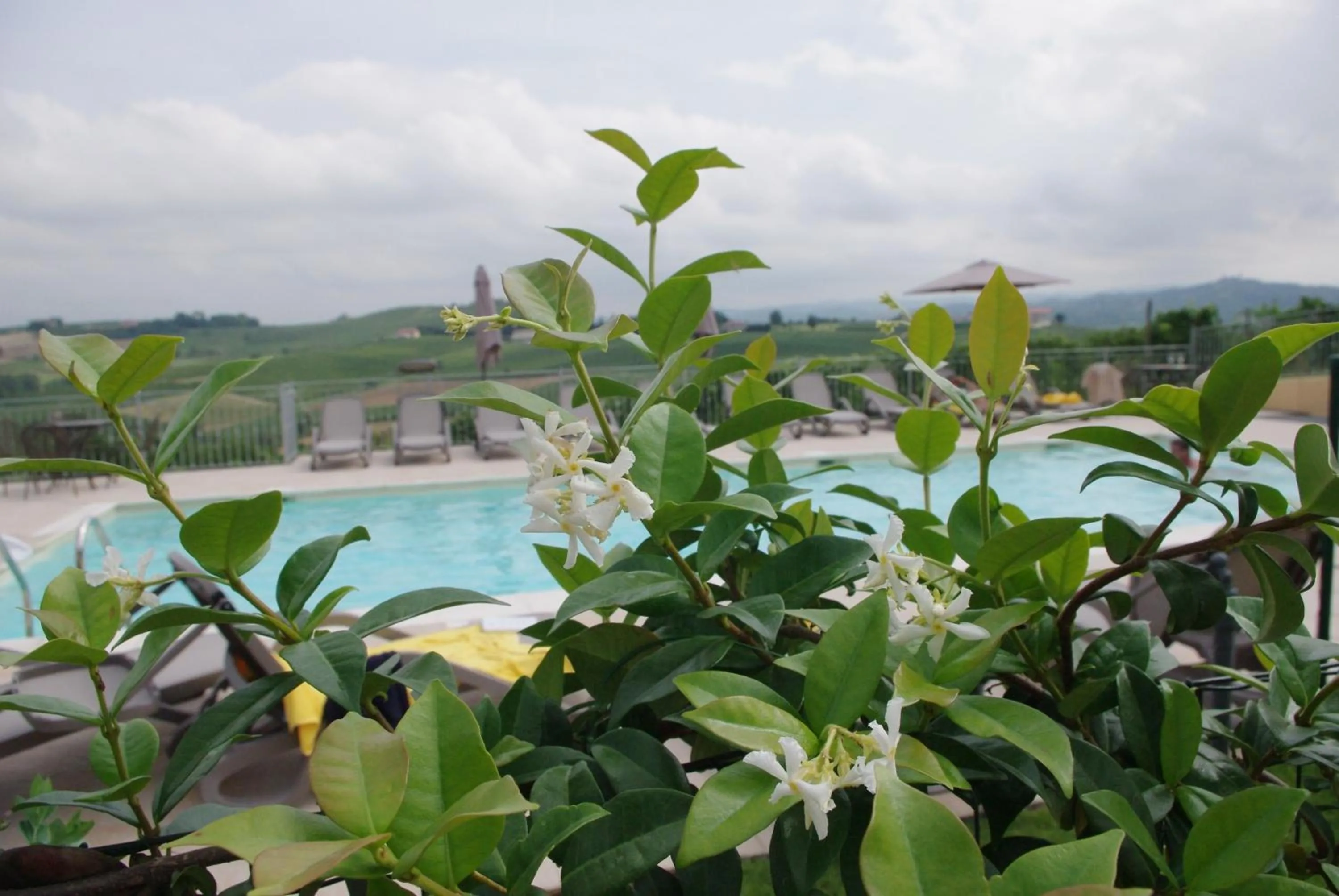 Swimming pool in NaturalMente Wine Resort