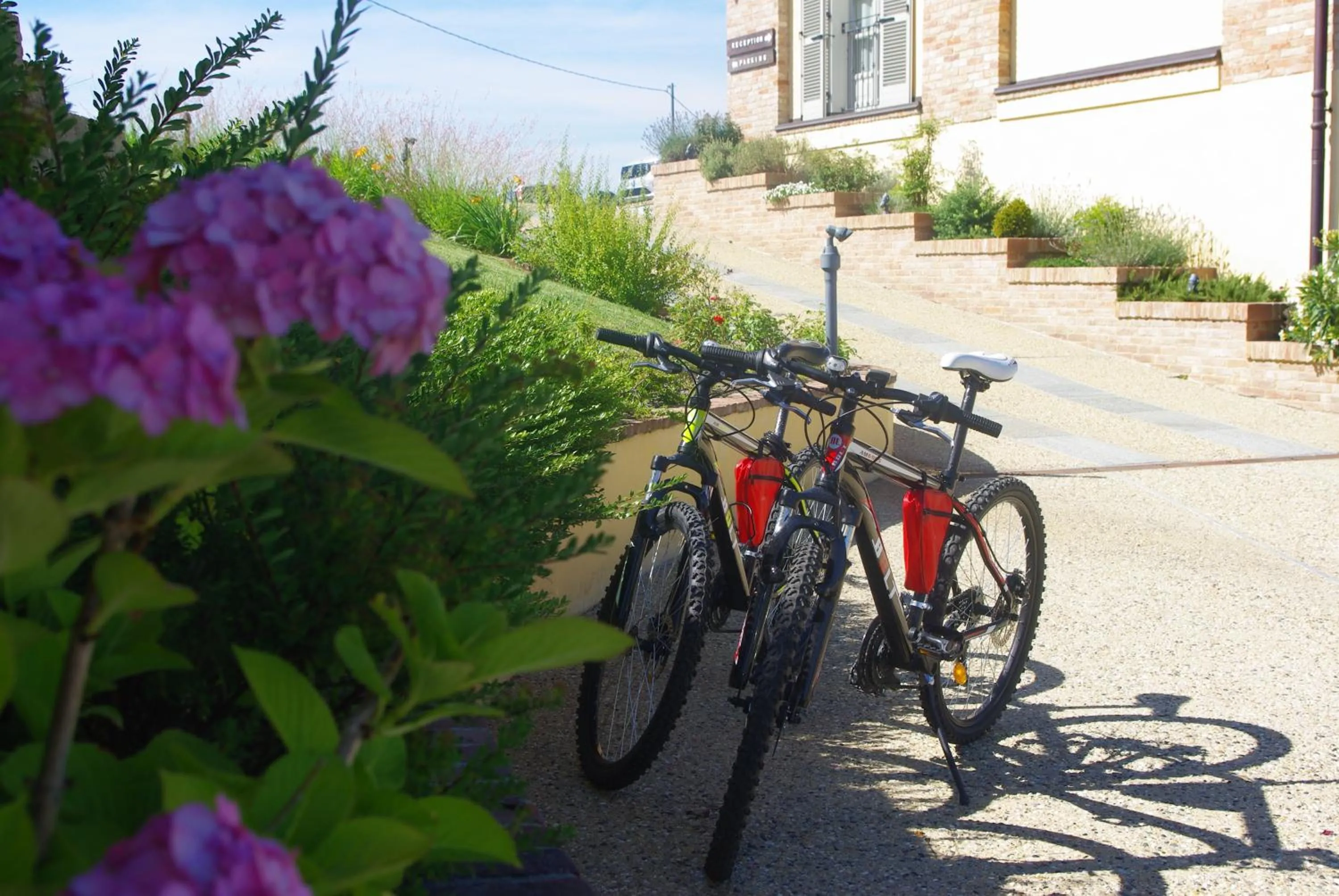 Cycling in NaturalMente Wine Resort