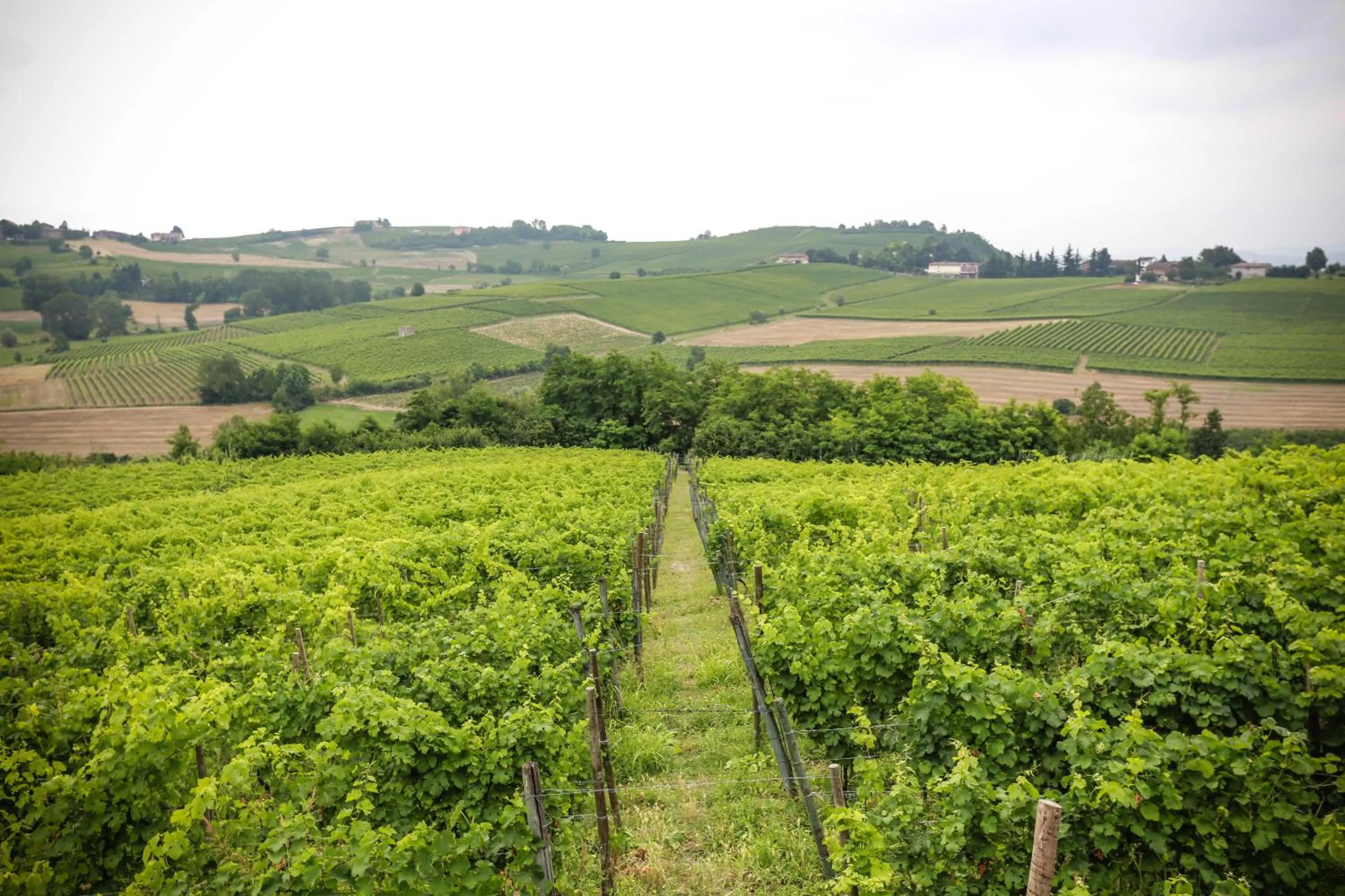 Garden in NaturalMente Wine Resort