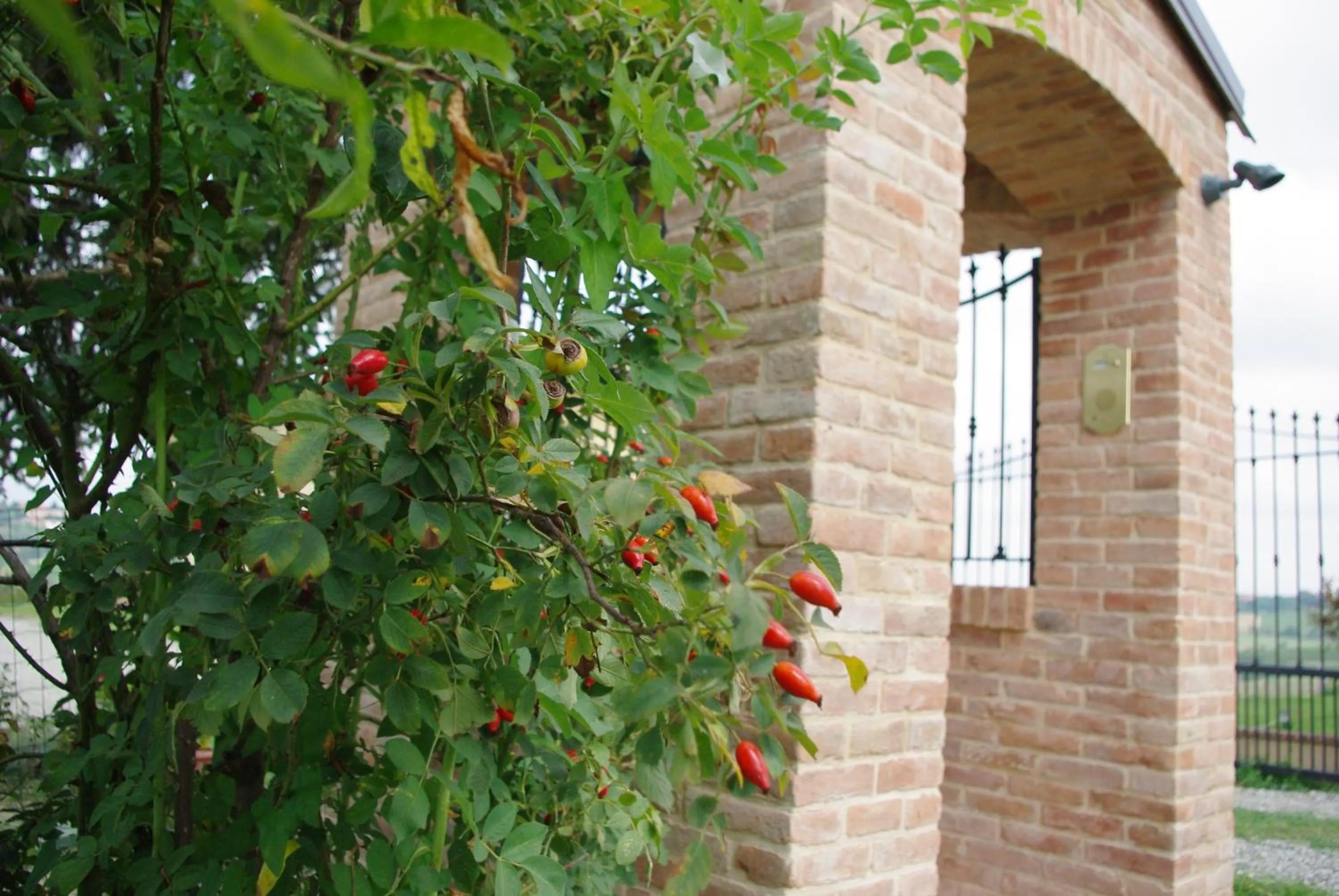 Decorative detail in NaturalMente Wine Resort