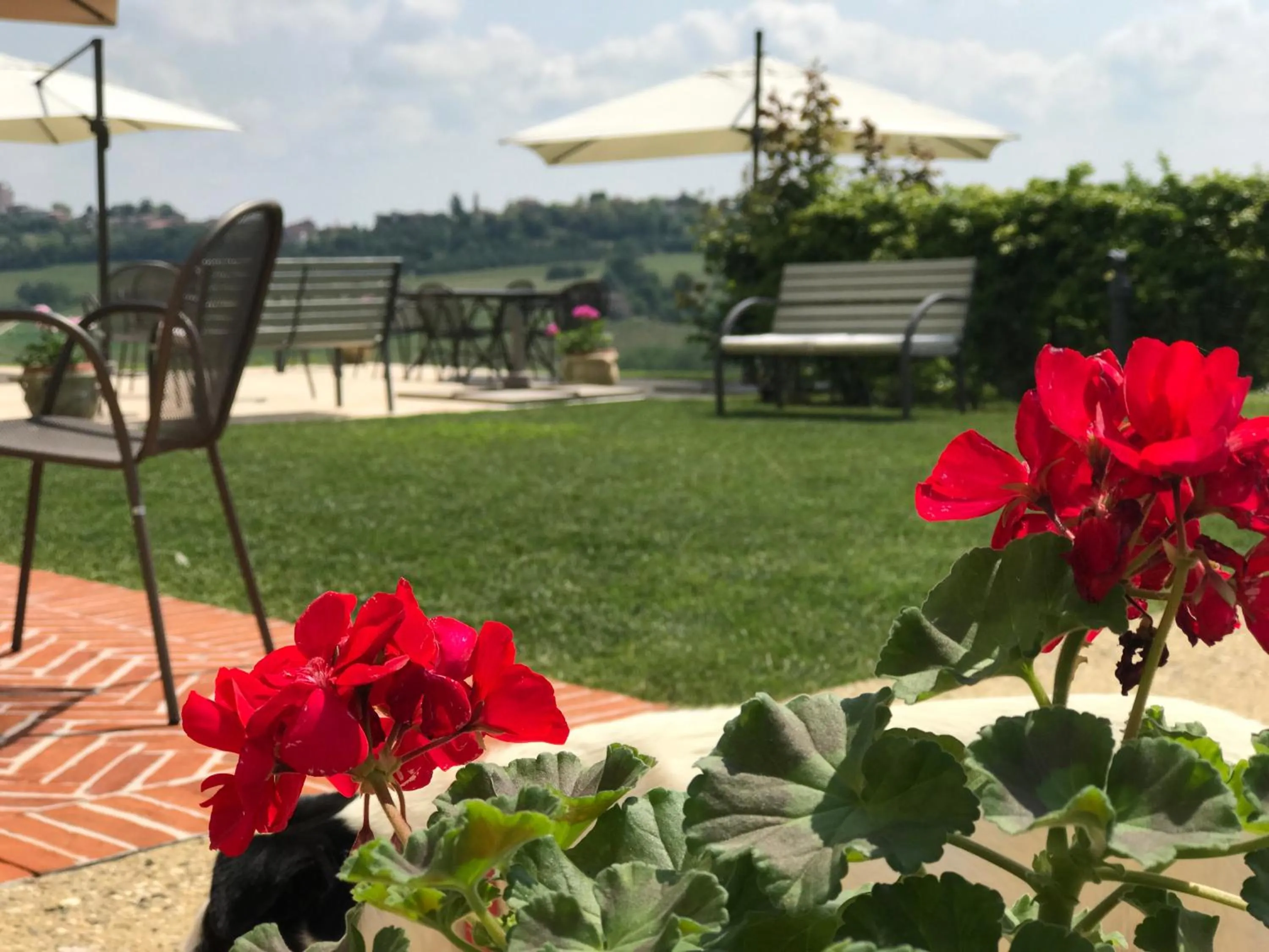 NaturalMente Wine Resort
