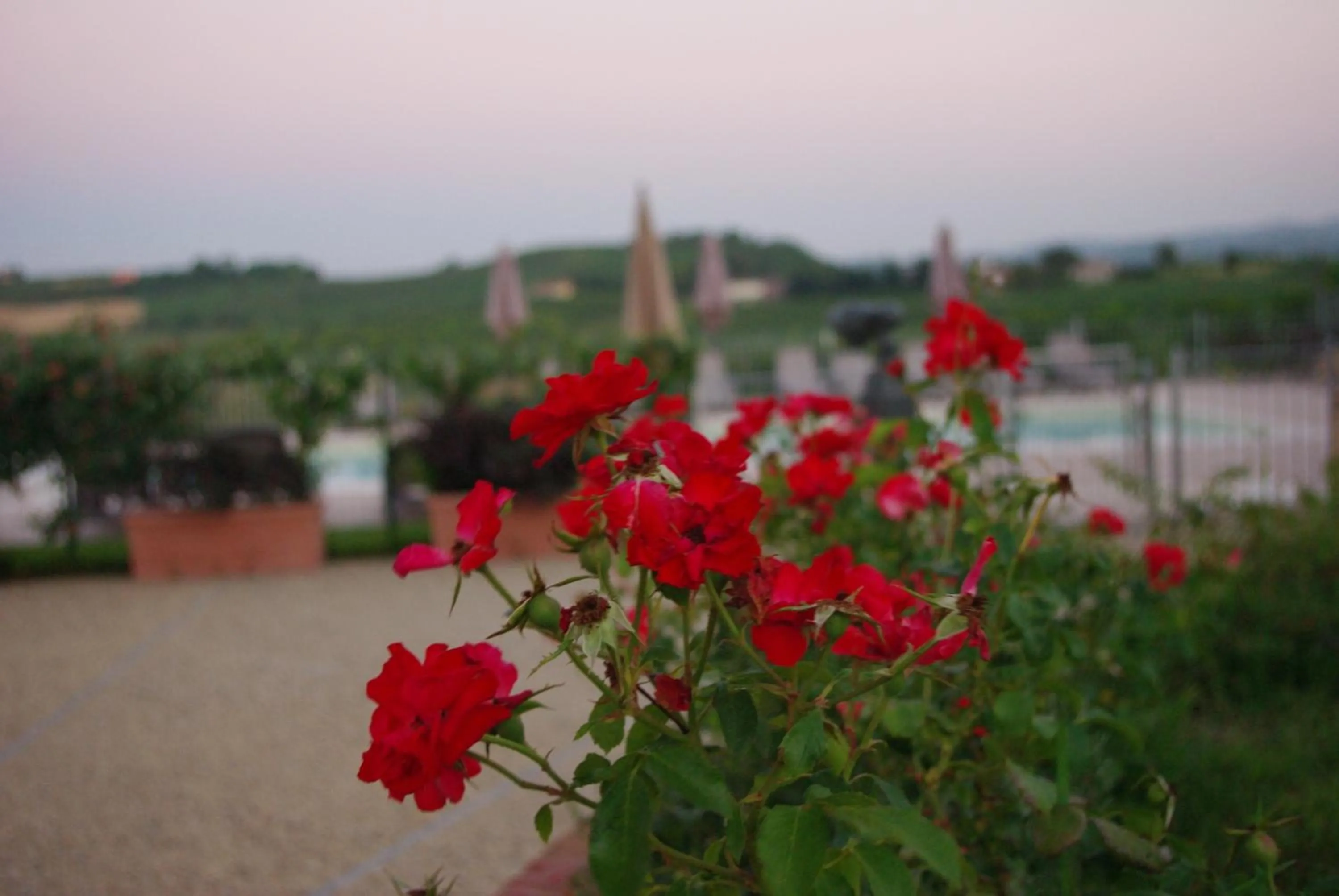 Garden in NaturalMente Wine Resort