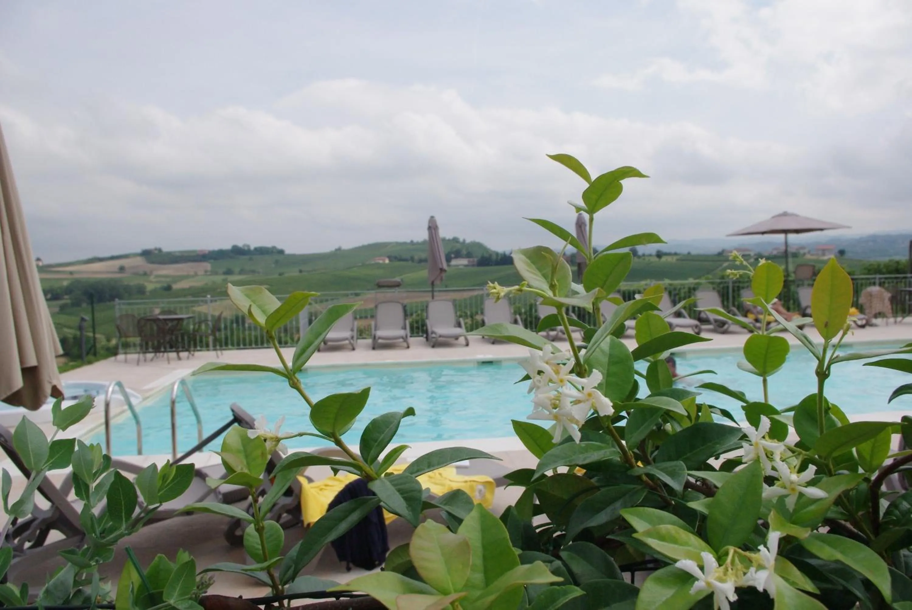 Swimming pool in NaturalMente Wine Resort