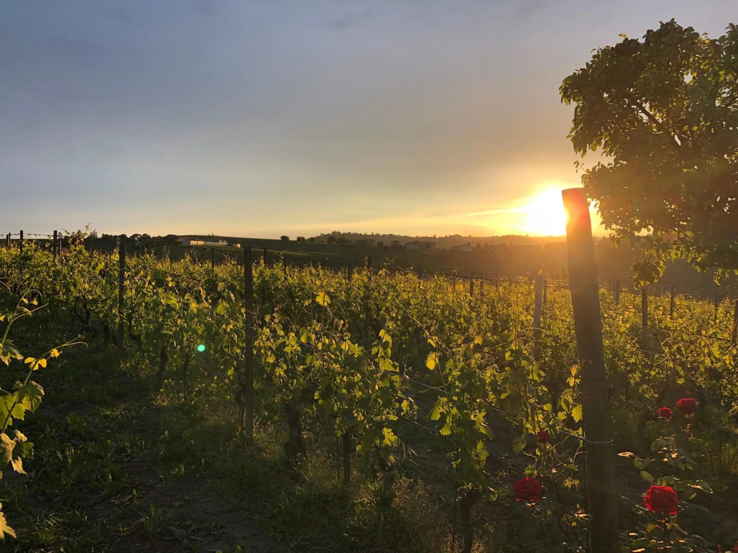 NaturalMente Wine Resort