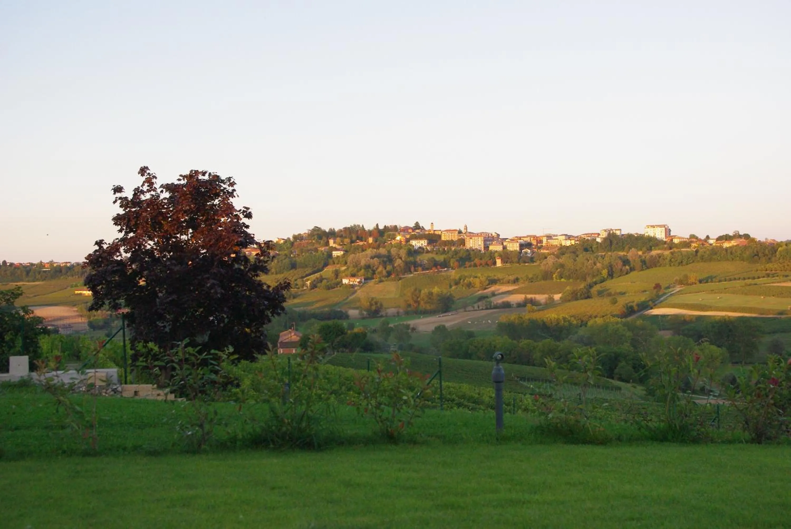 View (from property/room) in NaturalMente Wine Resort