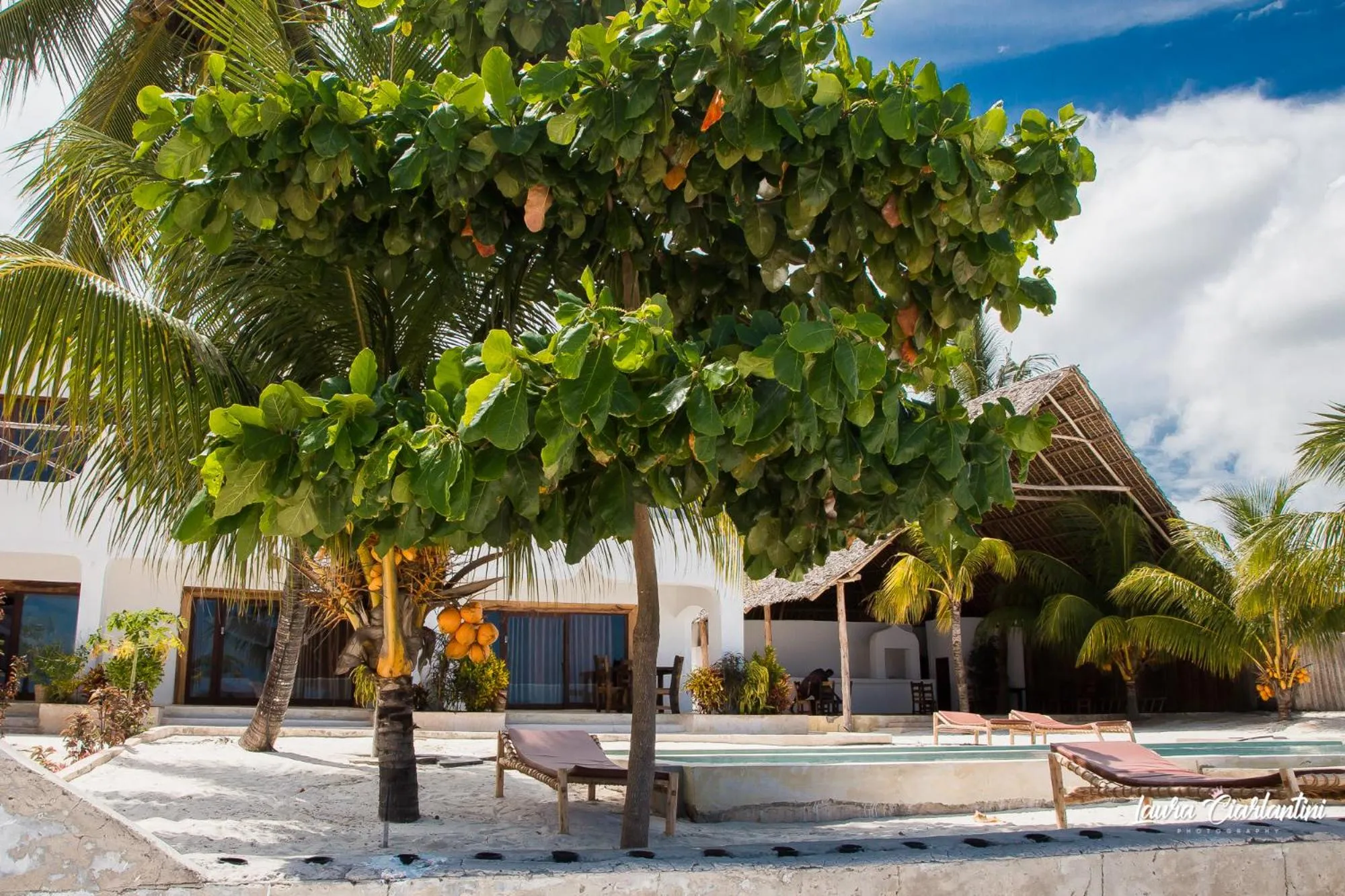 Property building in Uroa Zanzibar Vera Beach Hotel by Moonshine