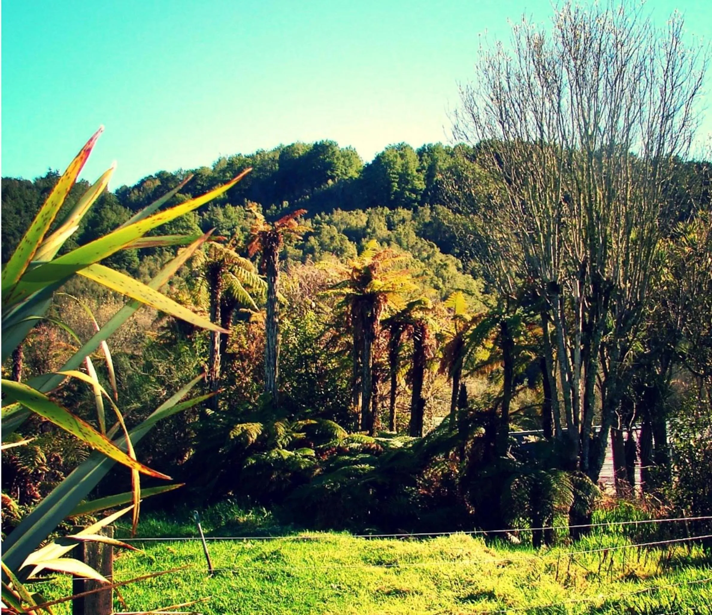 View (from property/room) in Brunnerton Lodge and Backpackers