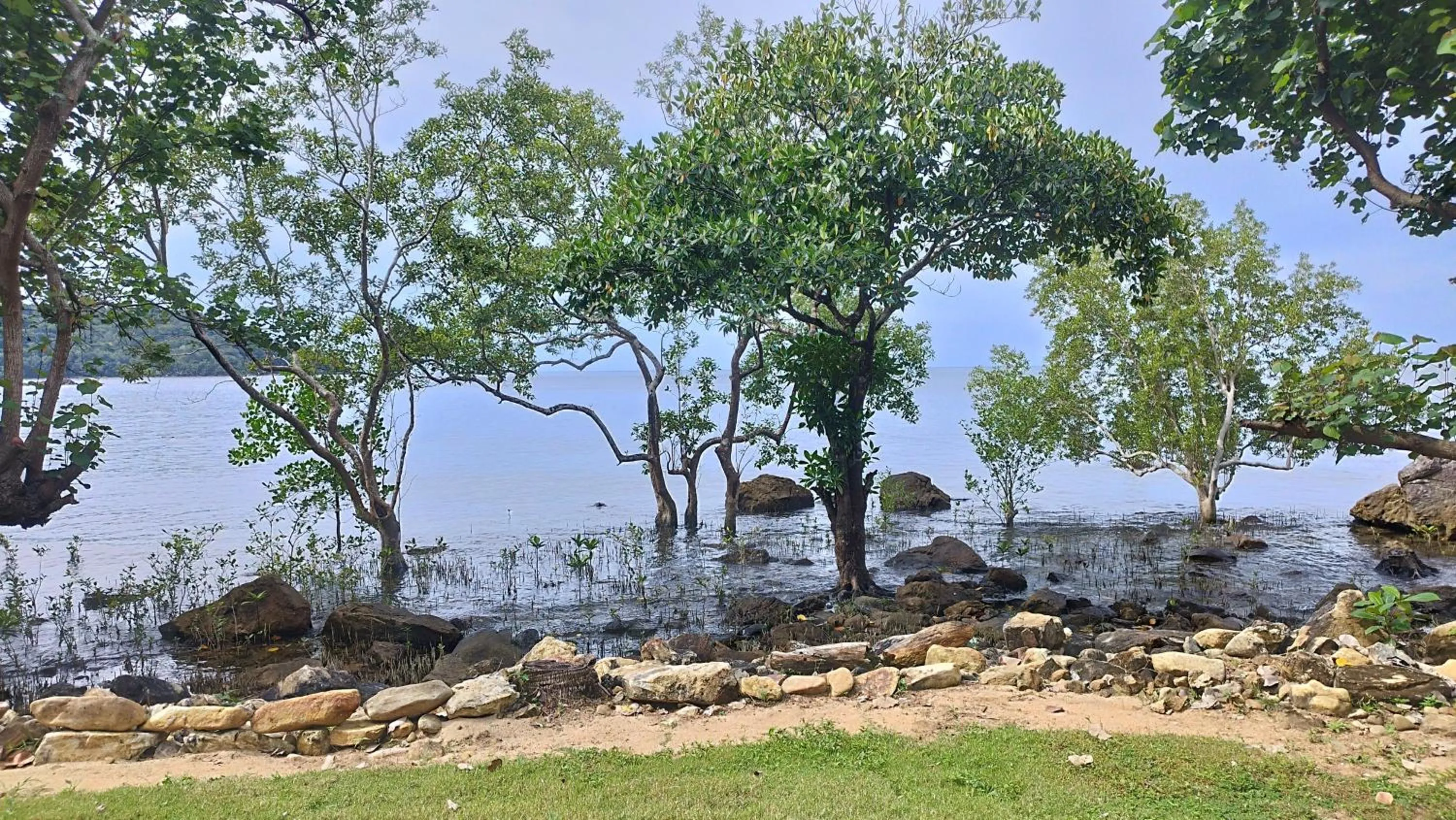 View (from property/room) in Nest Sense Resort