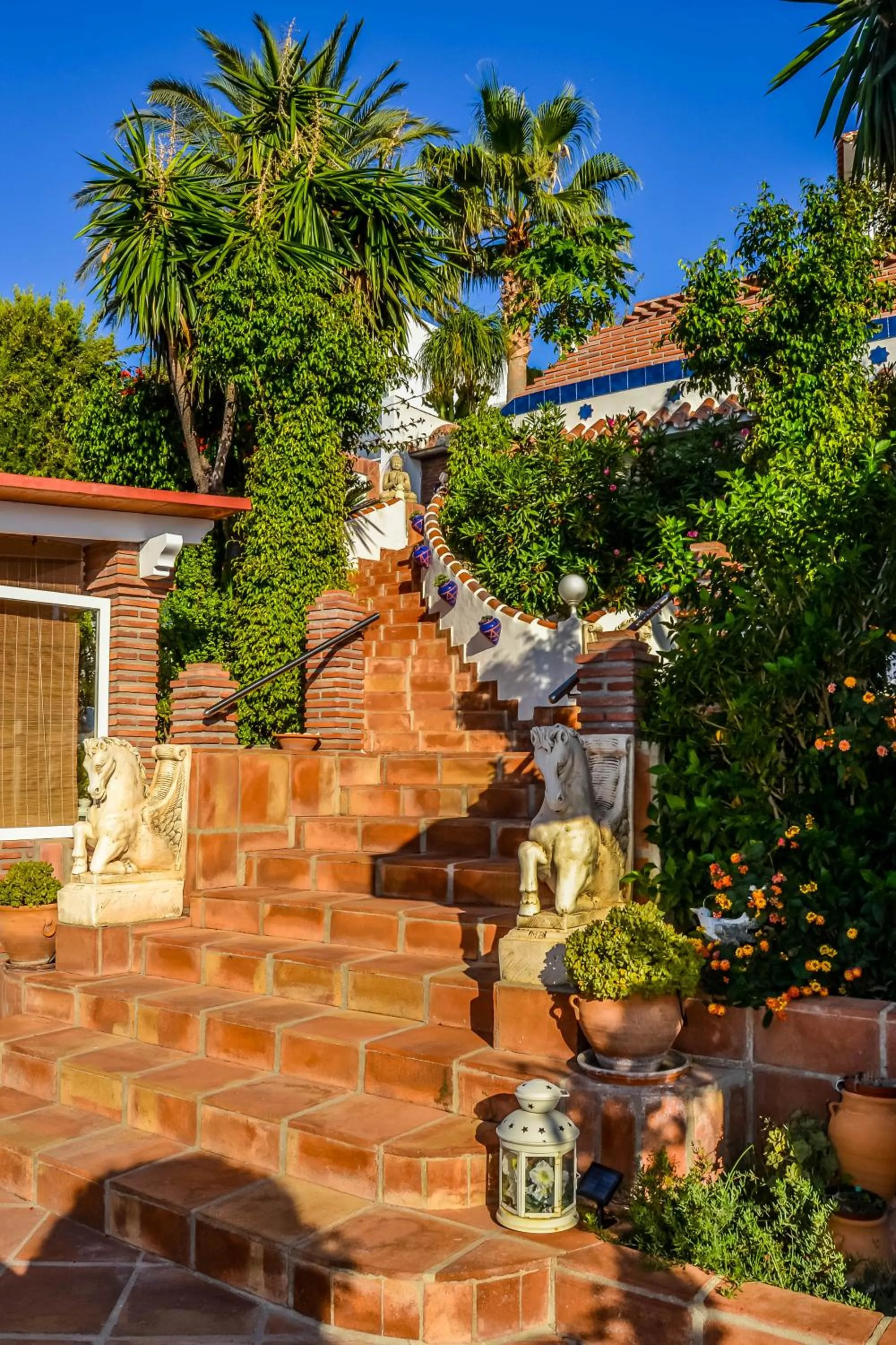 Patio in Casa Hermosa