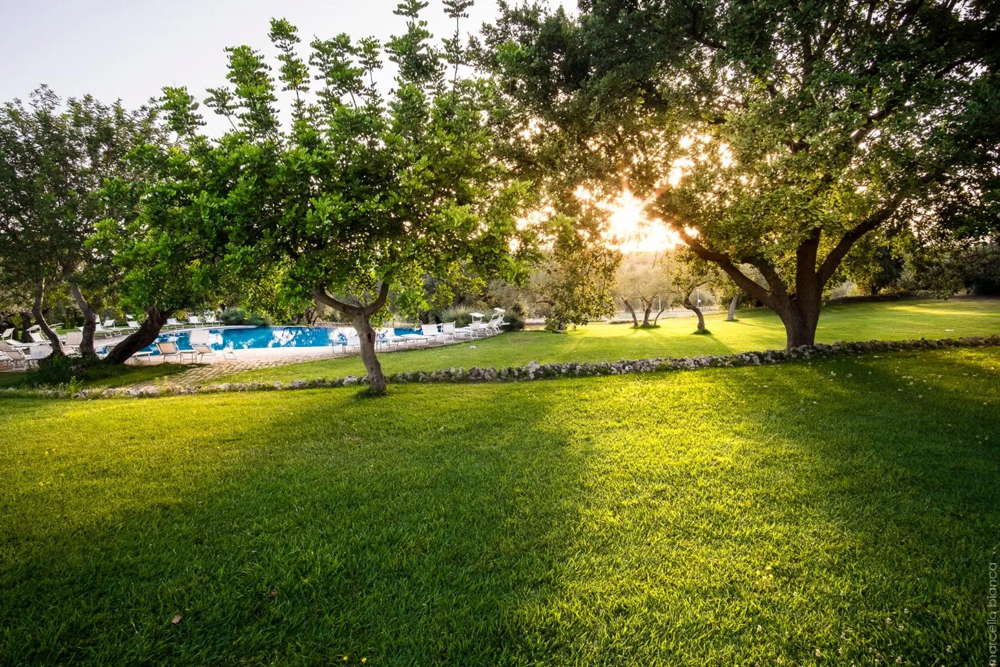 Garden in Masseria Degli Ulivi - Noto