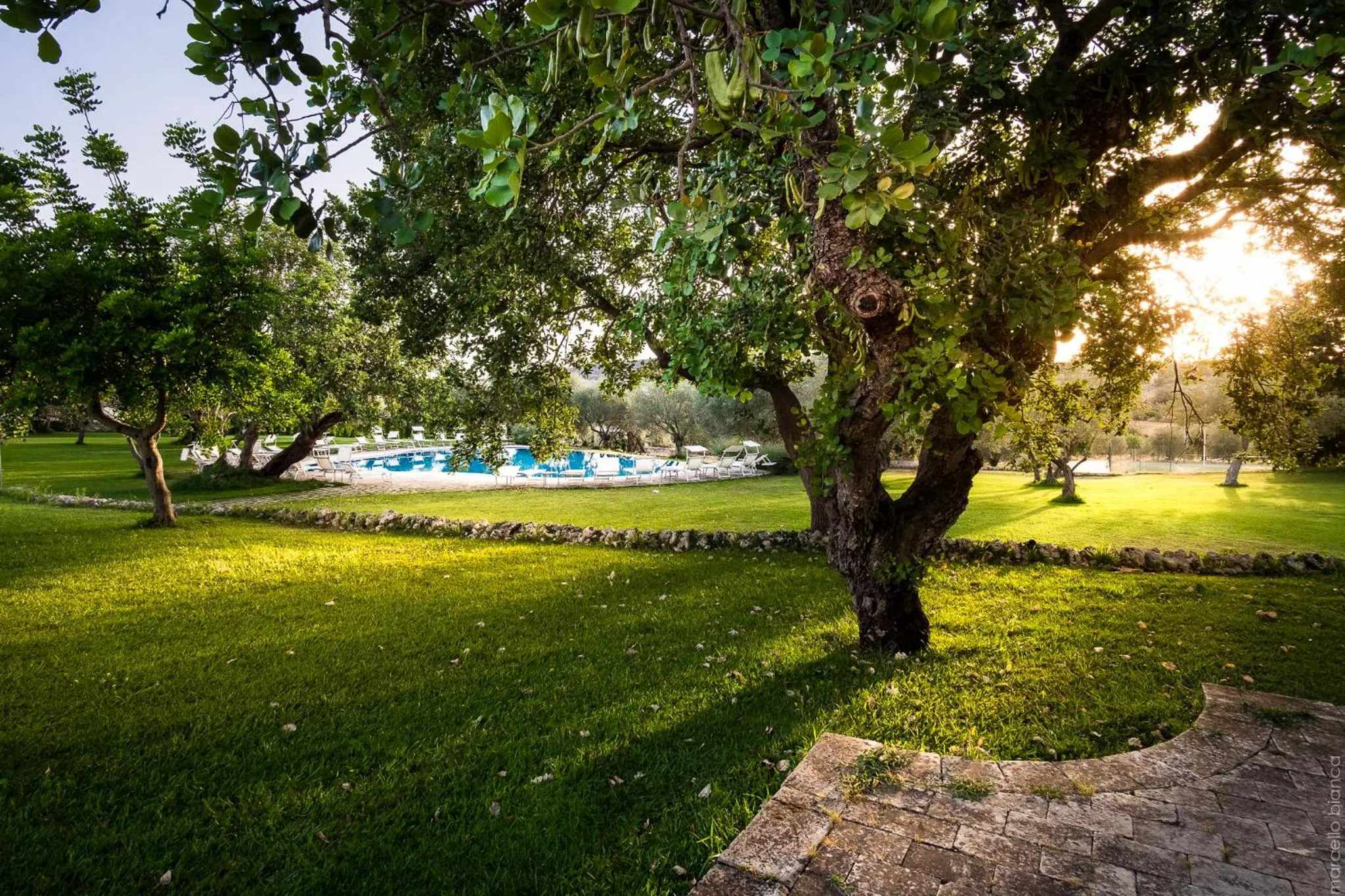 Garden in Masseria Degli Ulivi - Noto