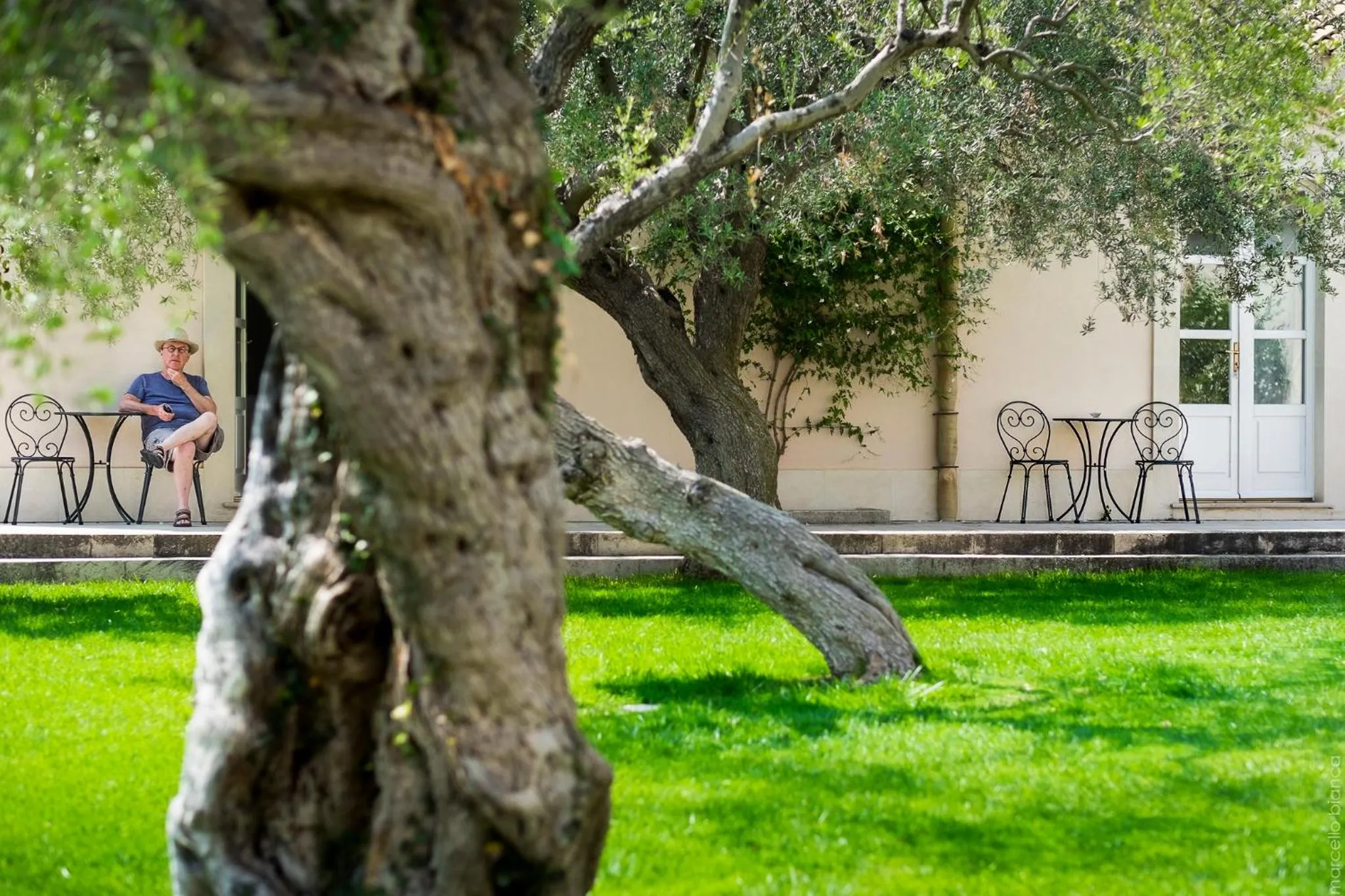 Garden in Masseria Degli Ulivi - Noto