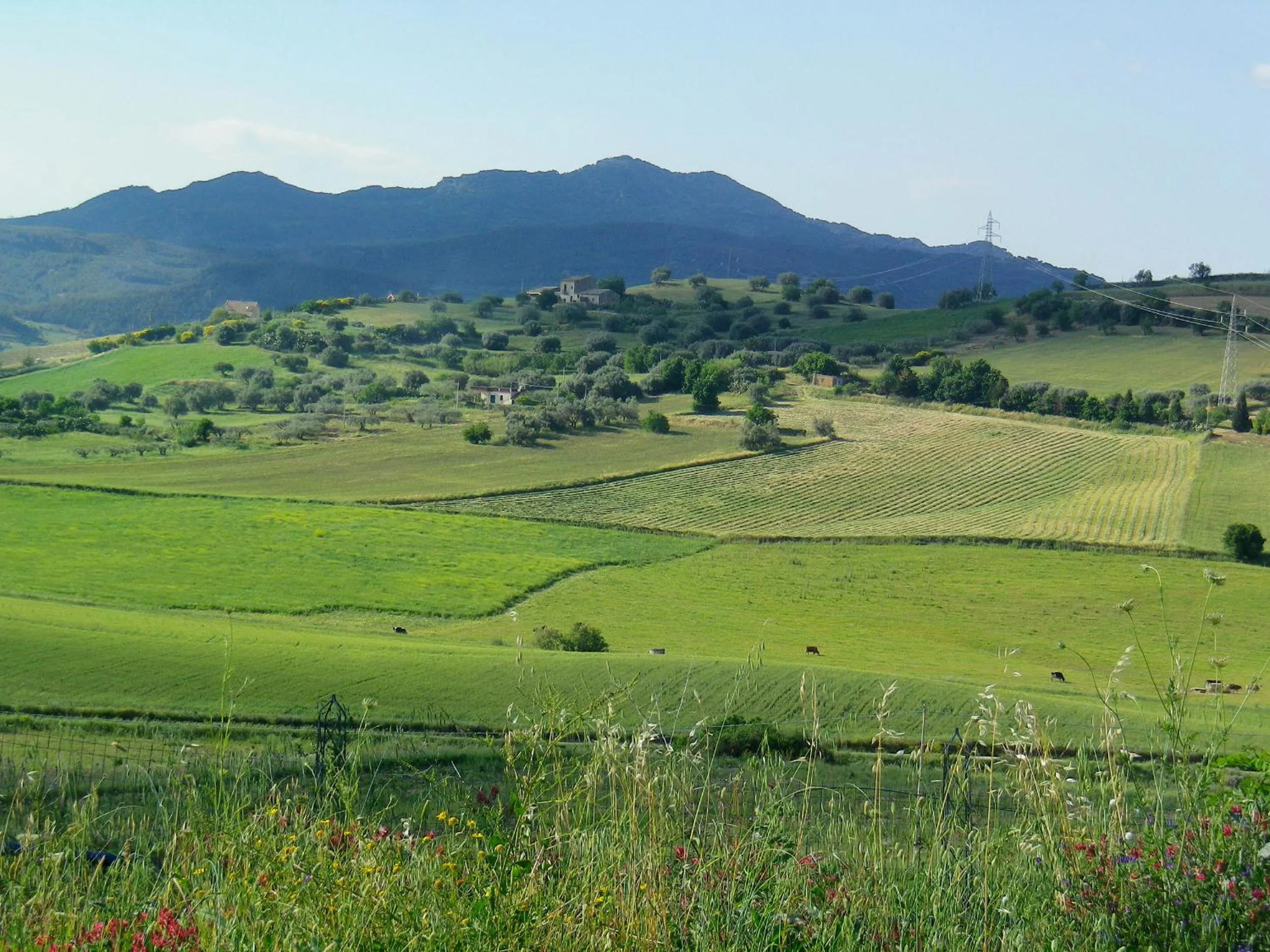View (from property/room) in Masseria Degli Ulivi - Noto
