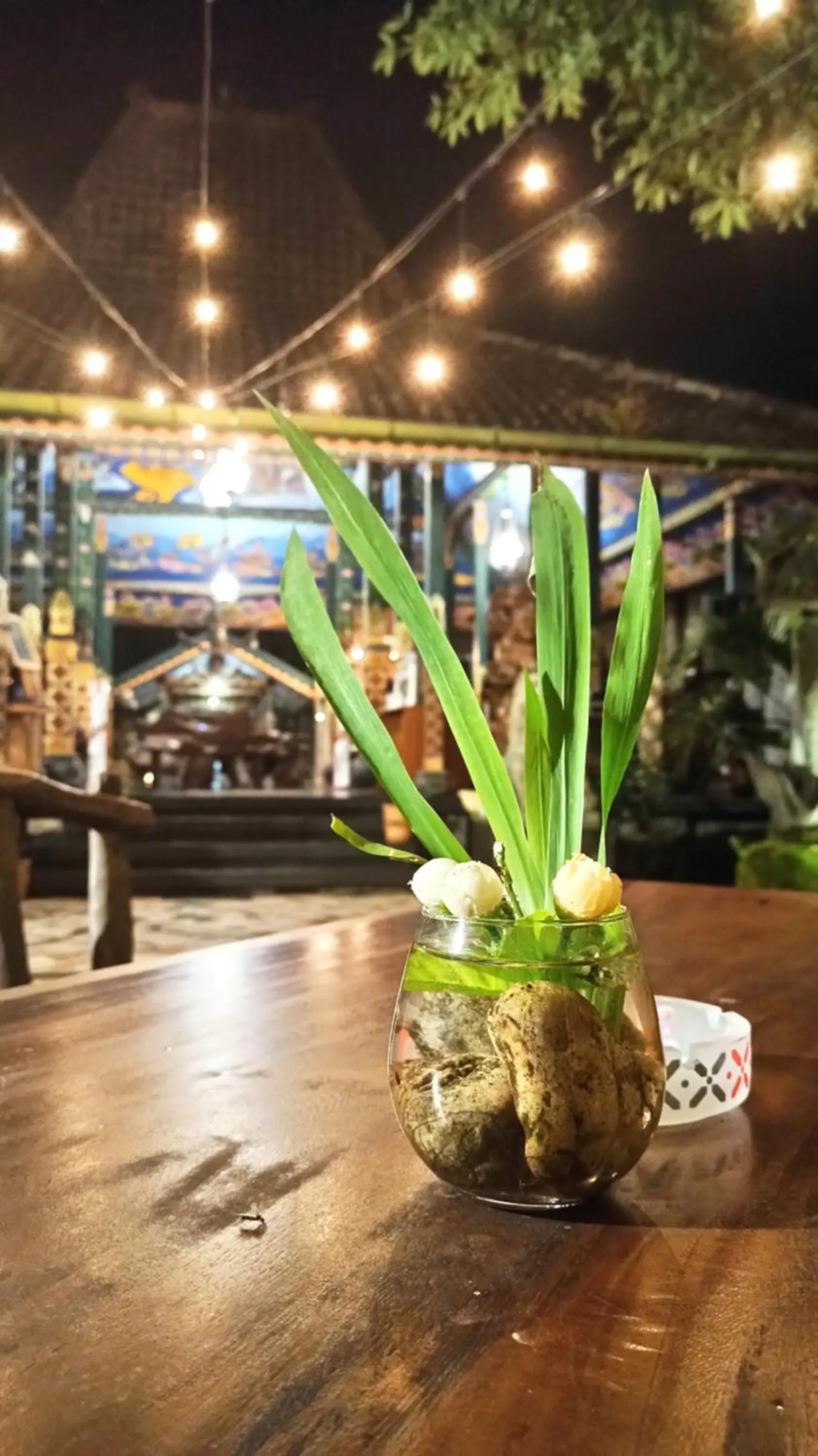 Omah Eling Medang Kamulan Borobudur