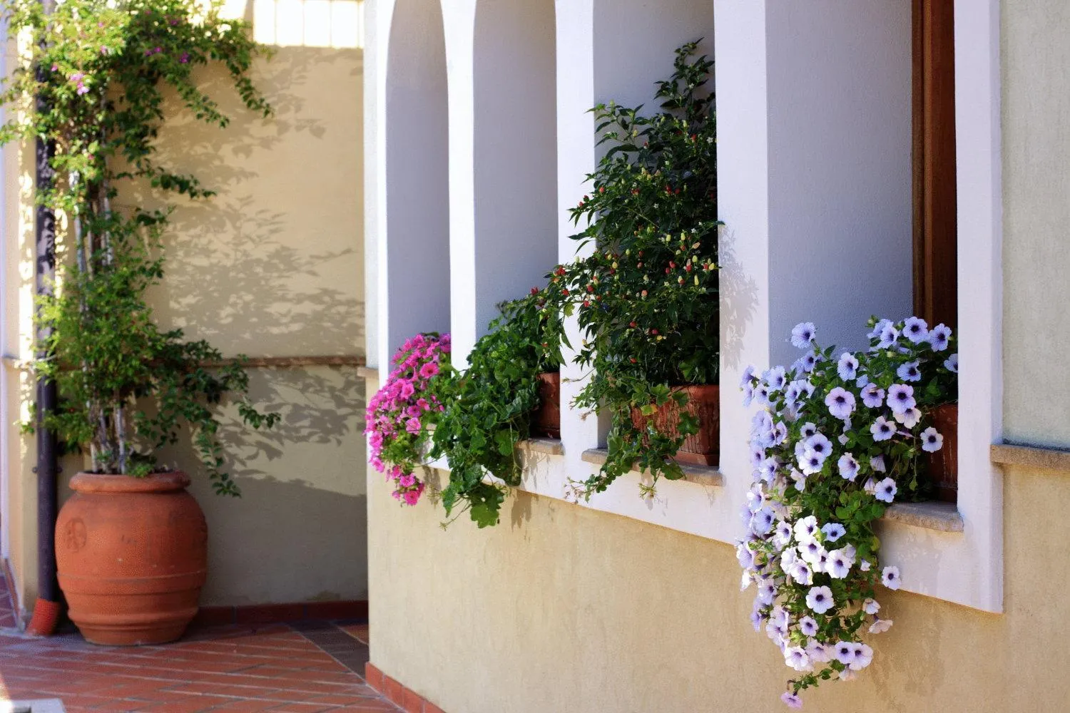 Property building in Hotel L'Ulivo