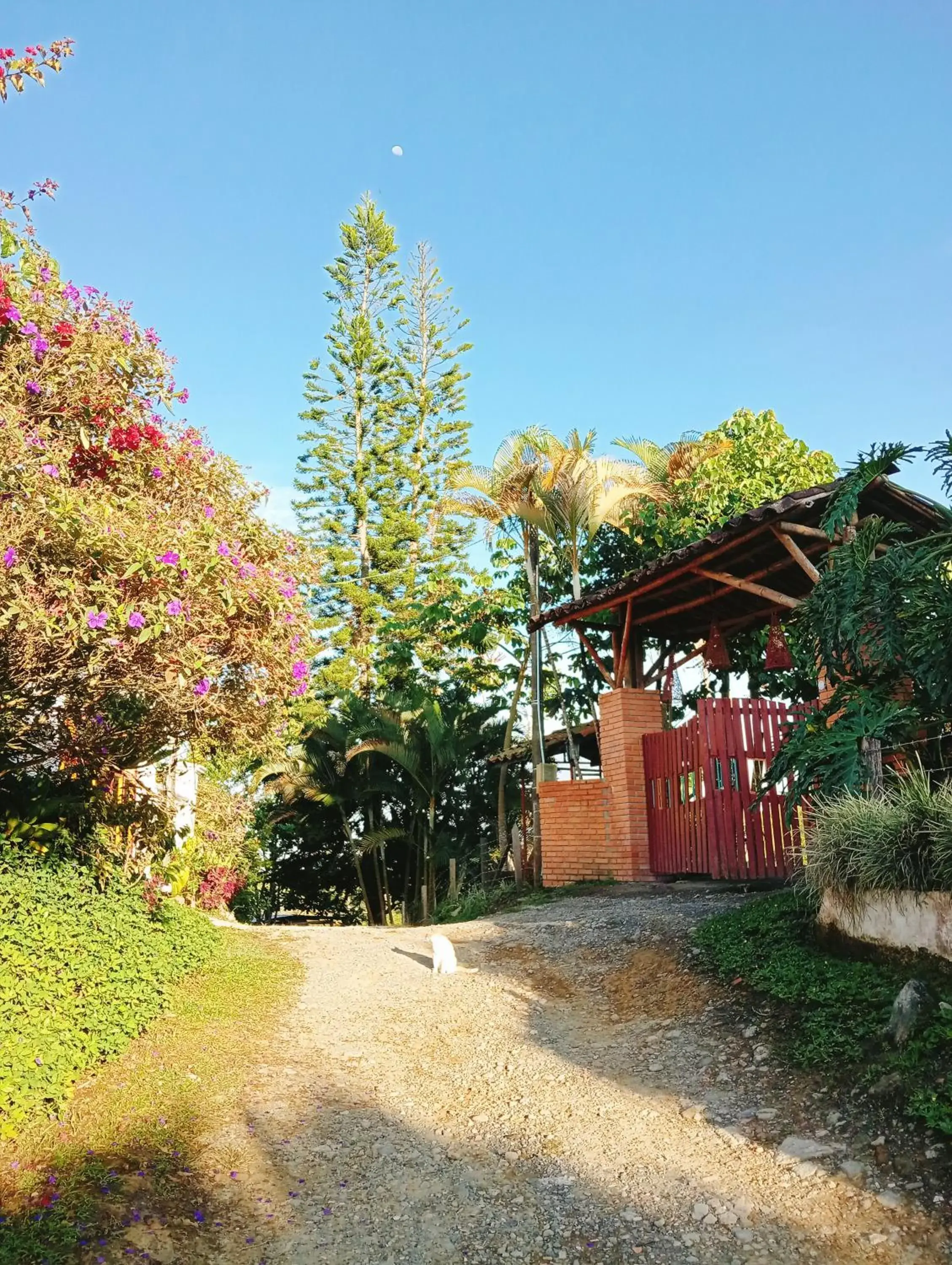 Rancho Ventura Rancho Ventura