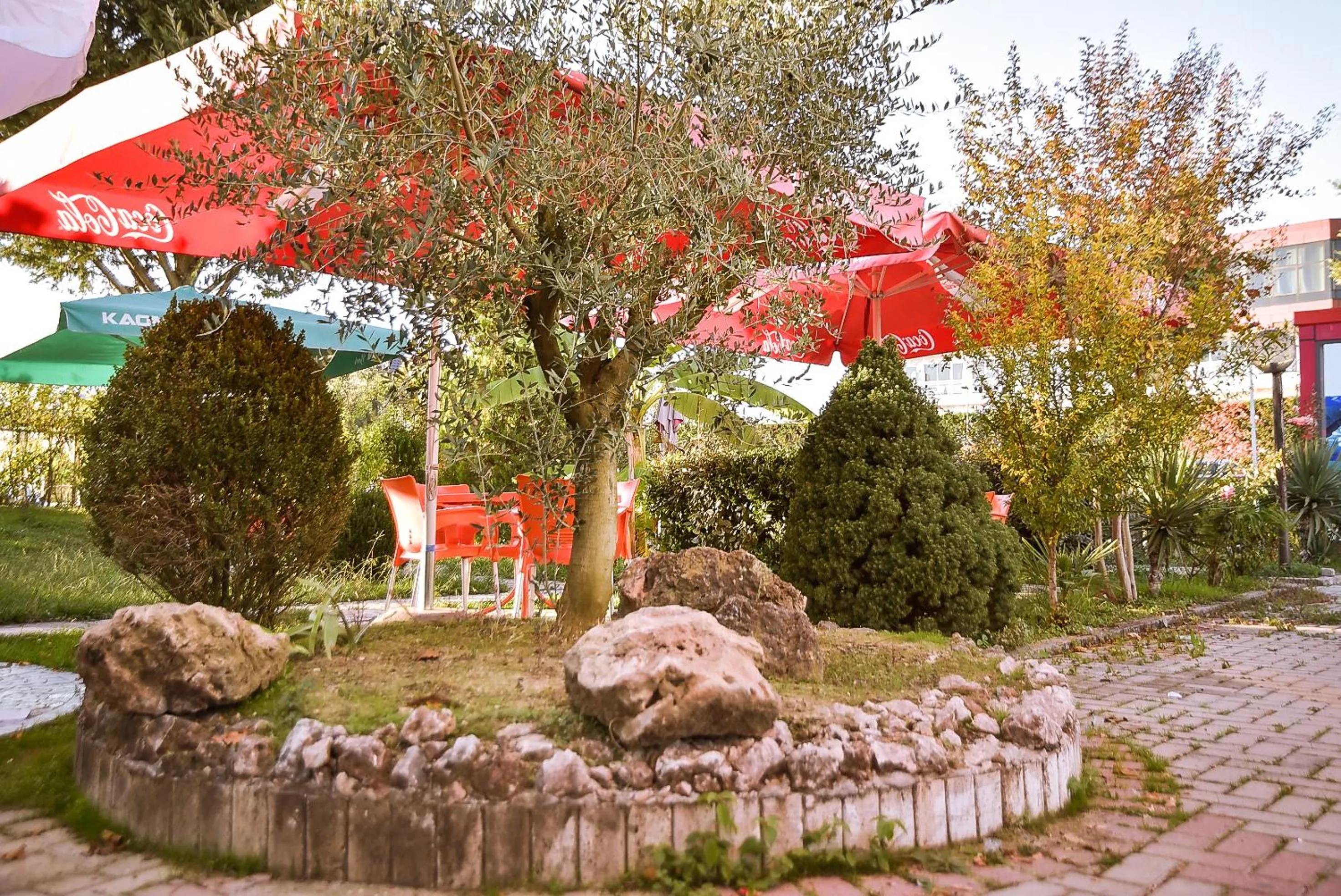 Garden in Hotel Jurgen