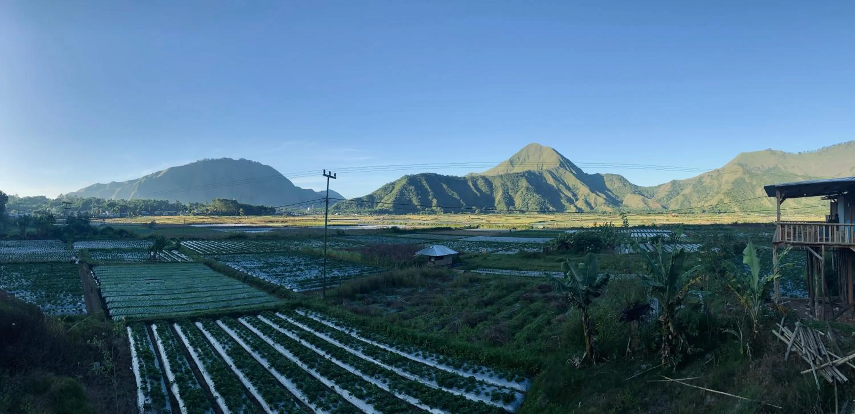 View (from property/room) in Bukit Tiga Lima Boutique Hotel