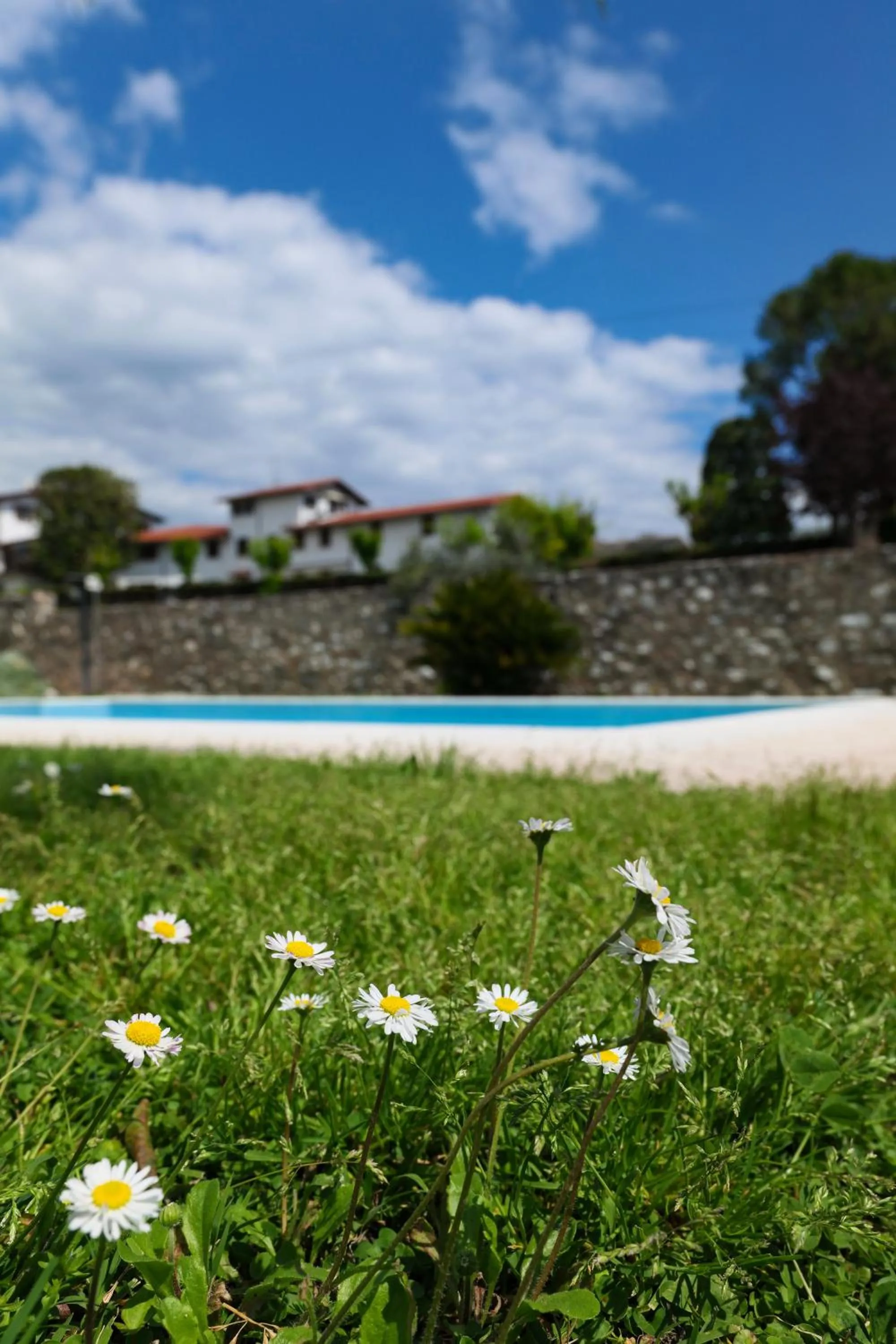 Garden in Borgo degli Ulivi Residence di Olympic Garda Lake