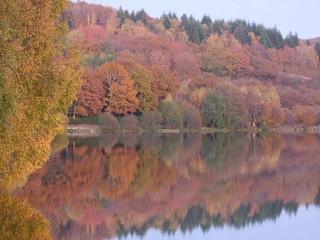 Natural landscape in Hotel de Bourgogne