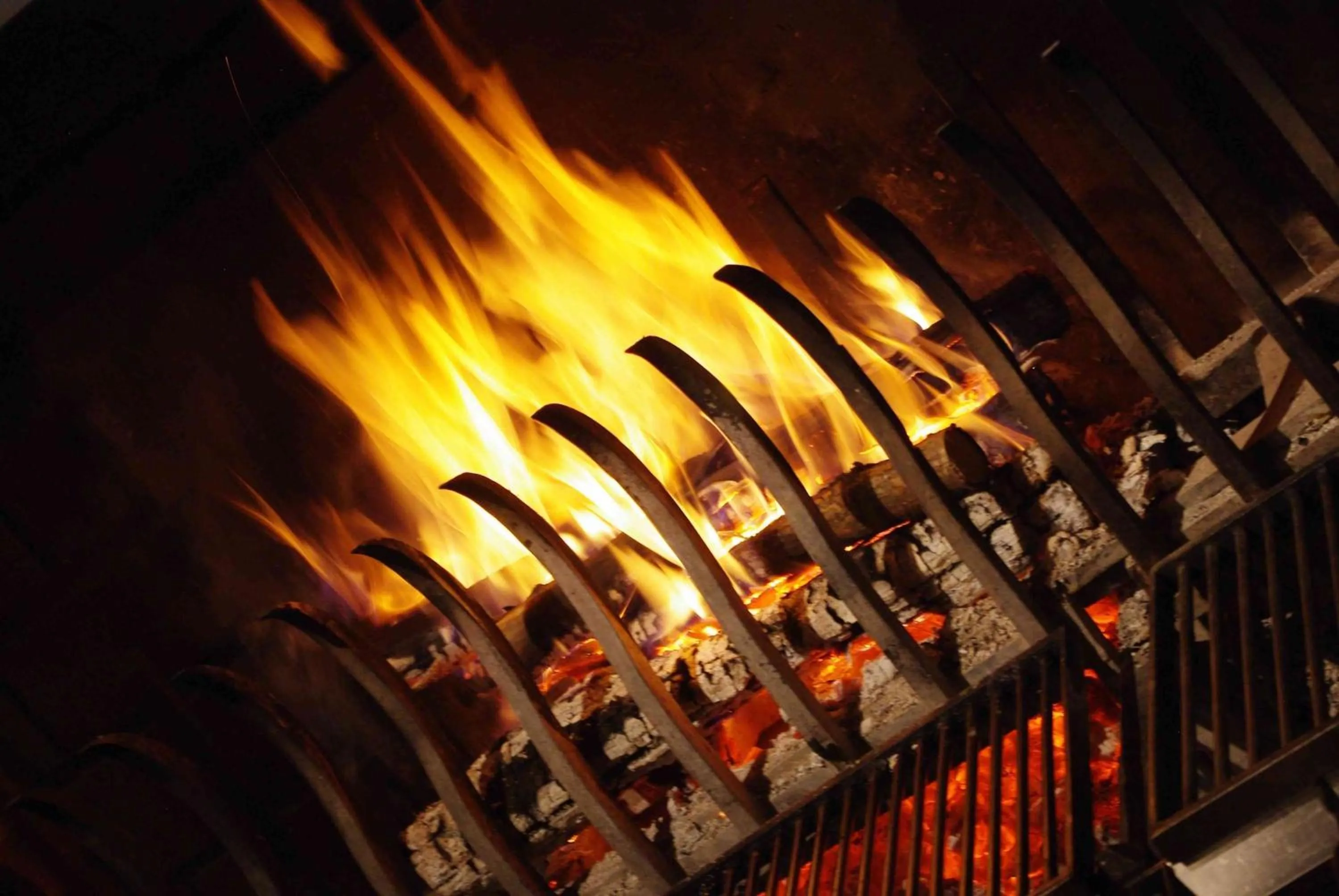 Area and facilities in Hotel de Bourgogne