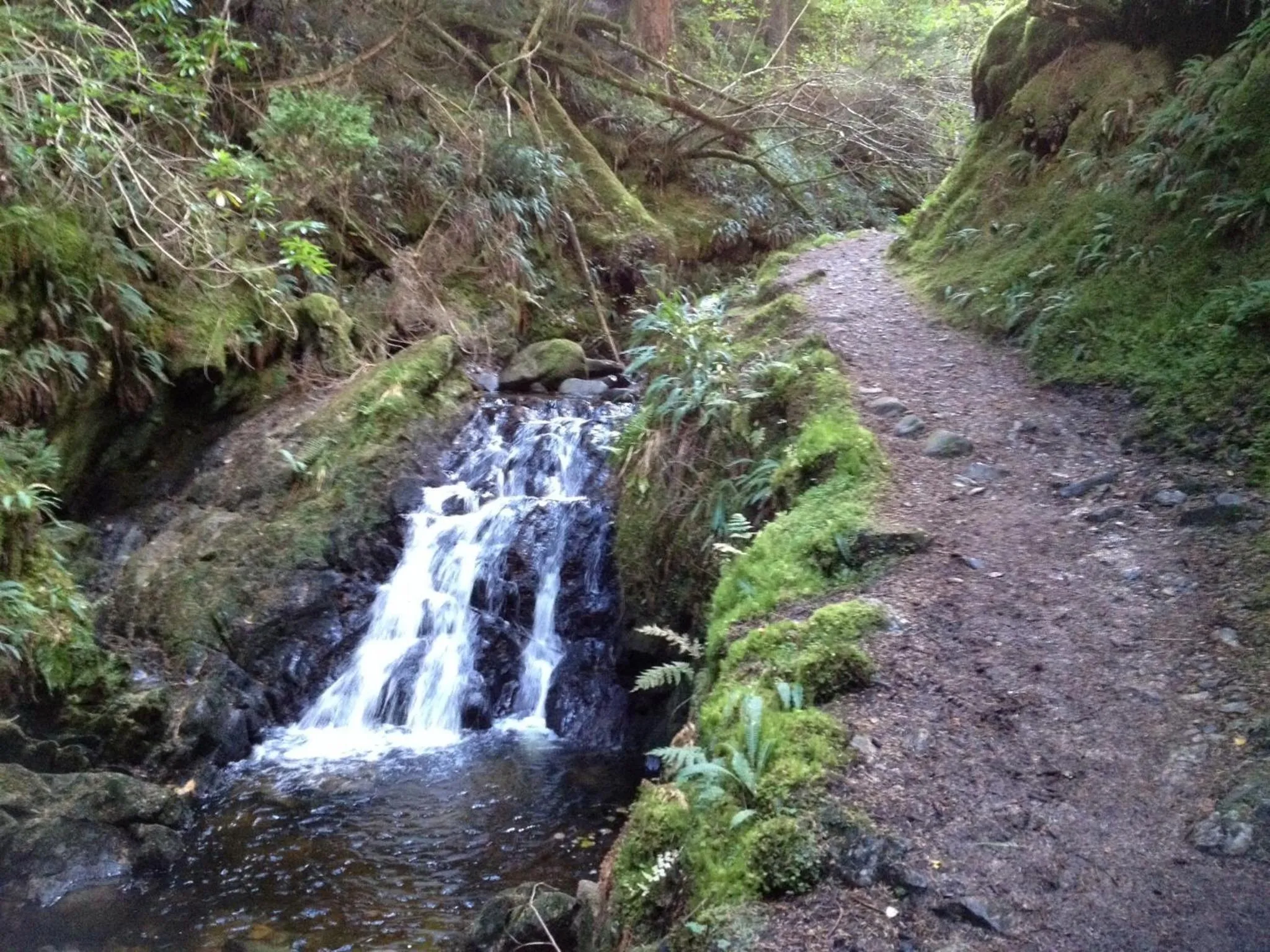 Other in Pucks Glen Lodges, Rashfield, by Dunoon