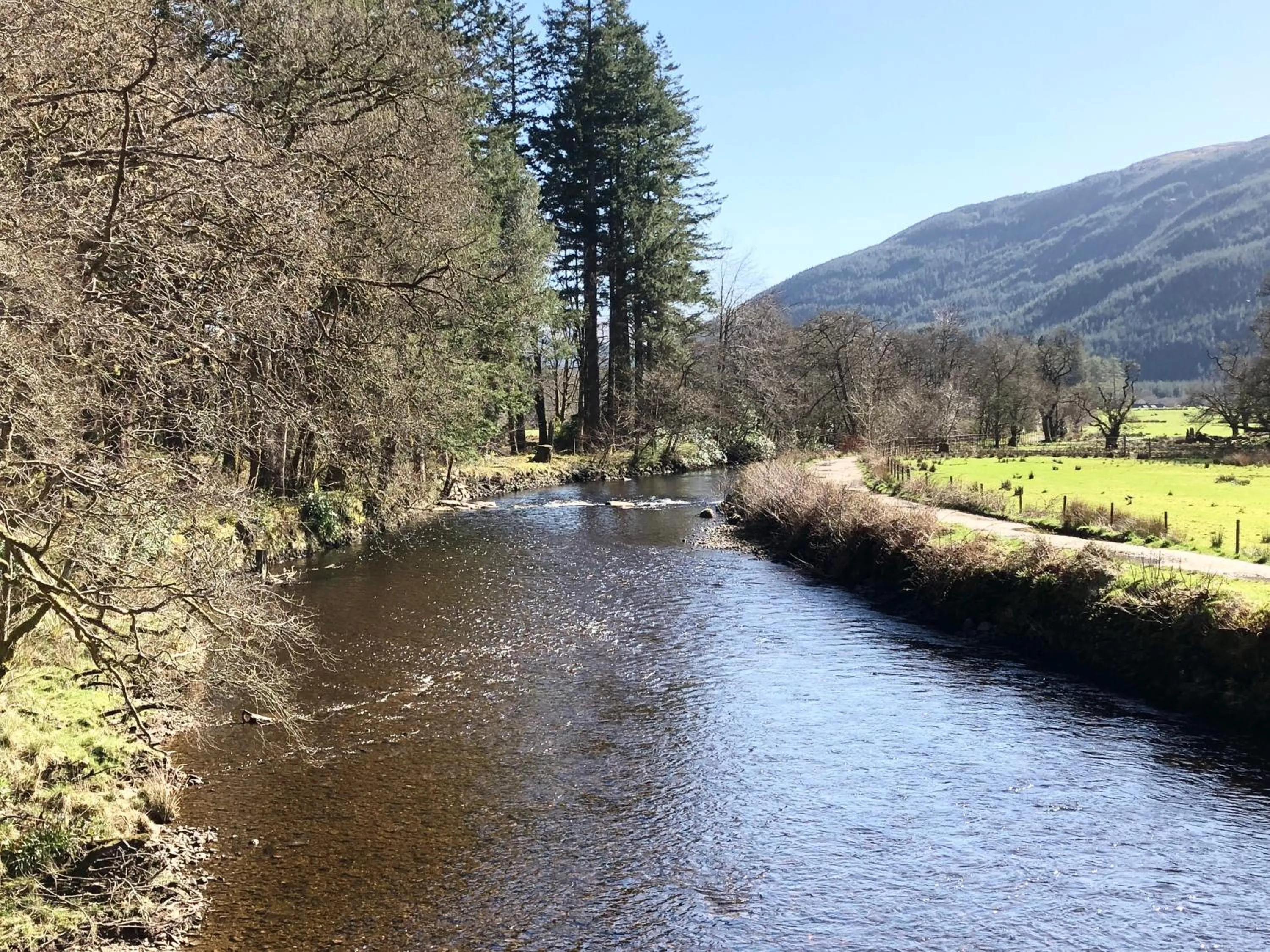 Natural landscape in Pucks Glen Lodges, Rashfield, by Dunoon
