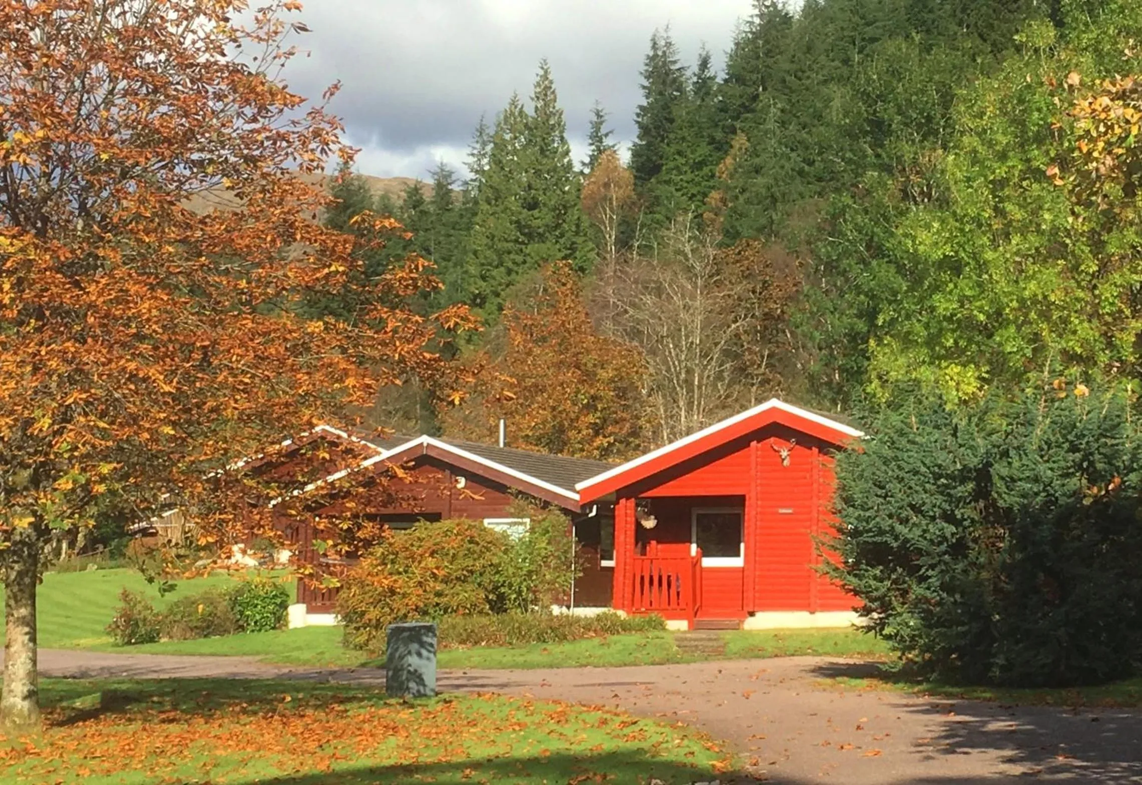 Natural landscape in Pucks Glen Lodges, Rashfield, by Dunoon