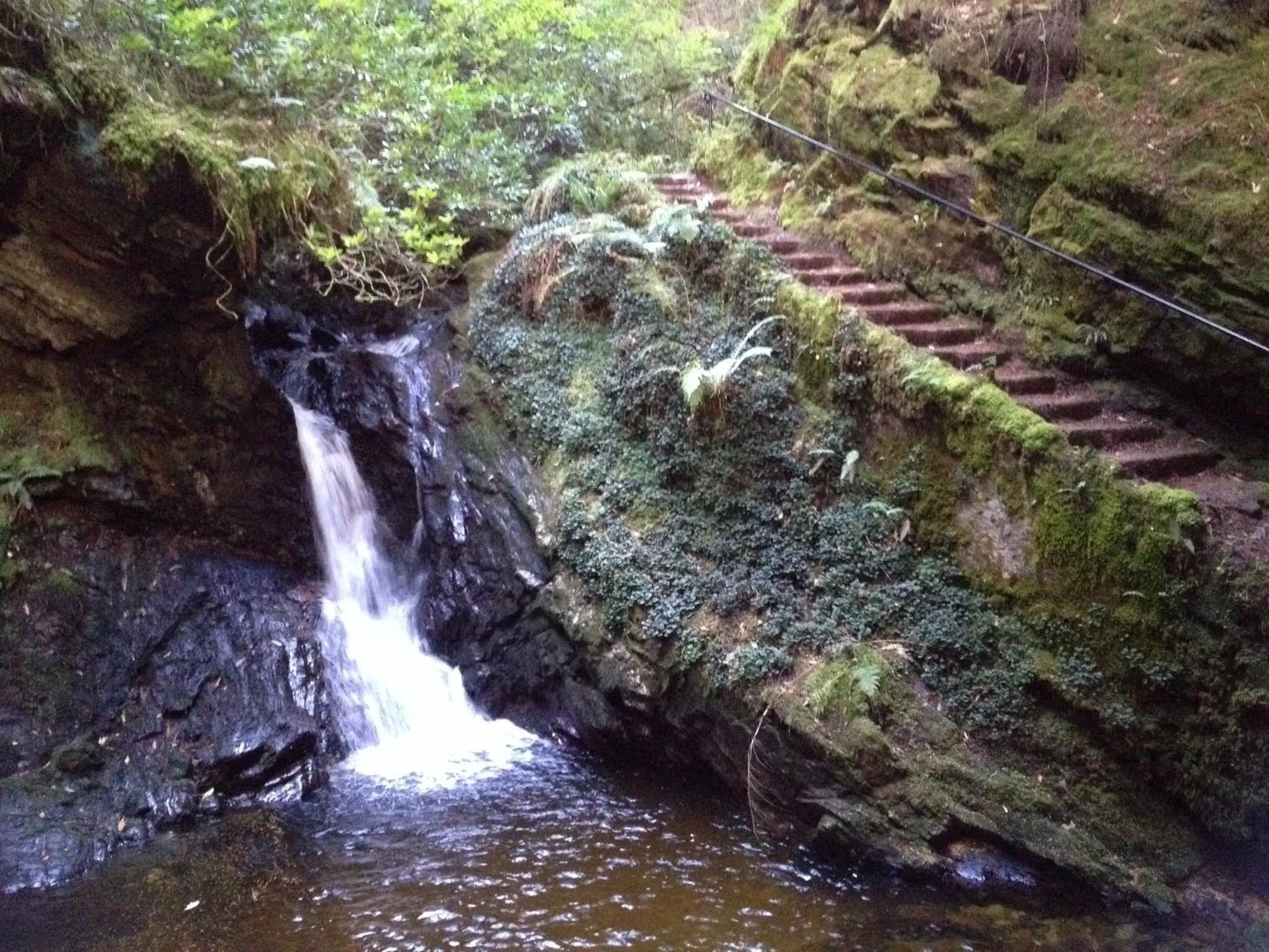 Other in Pucks Glen Lodges, Rashfield, by Dunoon
