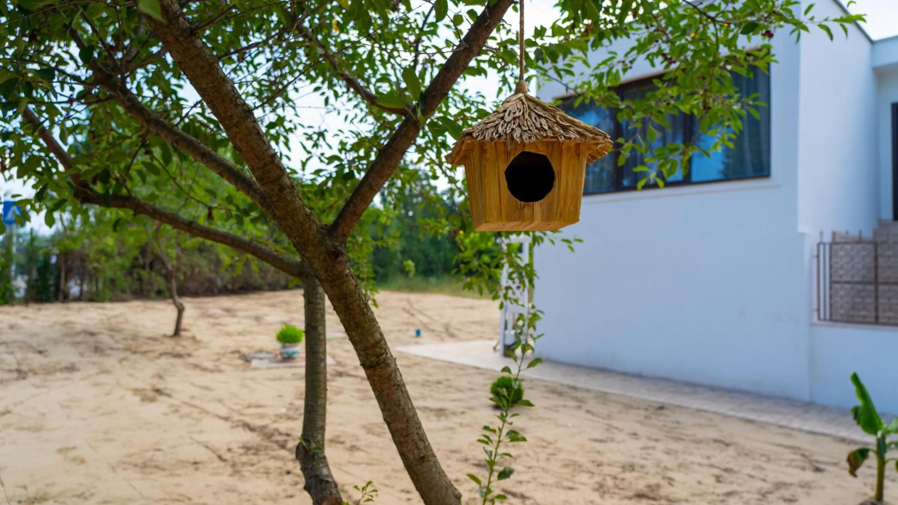 Property building in Avenue Venus - Avenue Hotels