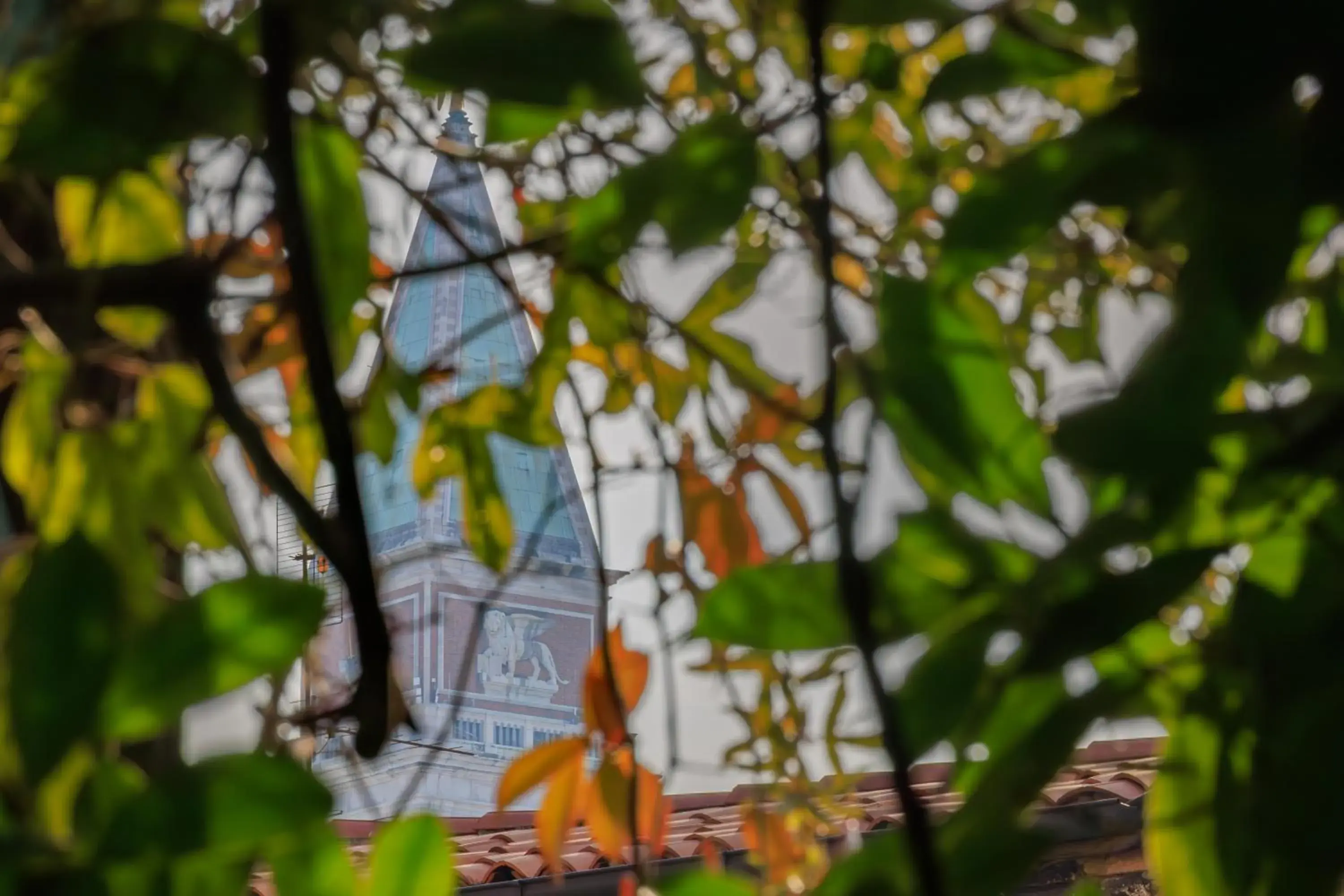 View (from property/room) in Cà dell'arte Suite View (from property/room) in Cà dell'arte Suite