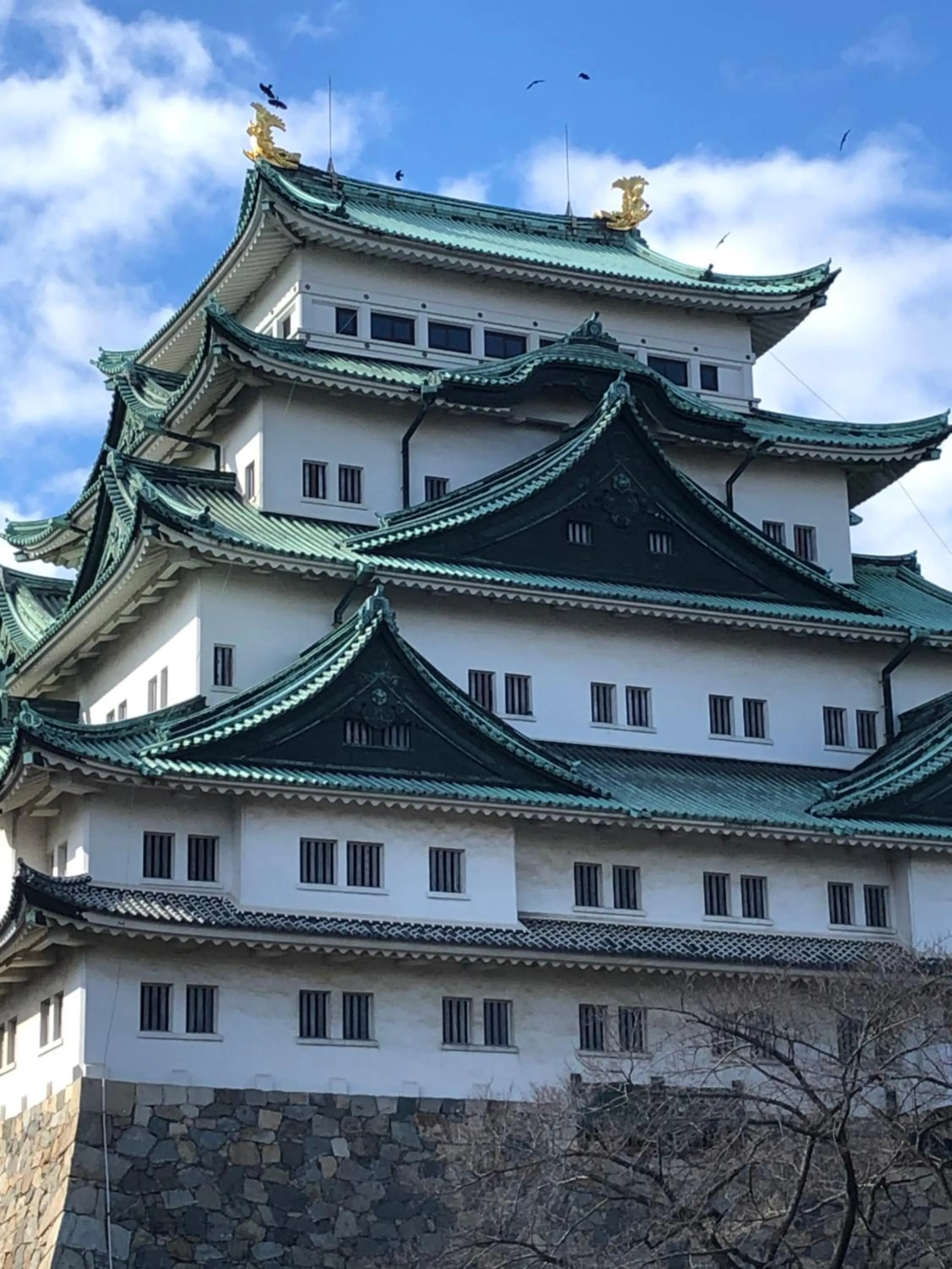 Nearby landmark in HOTEL ERENOA