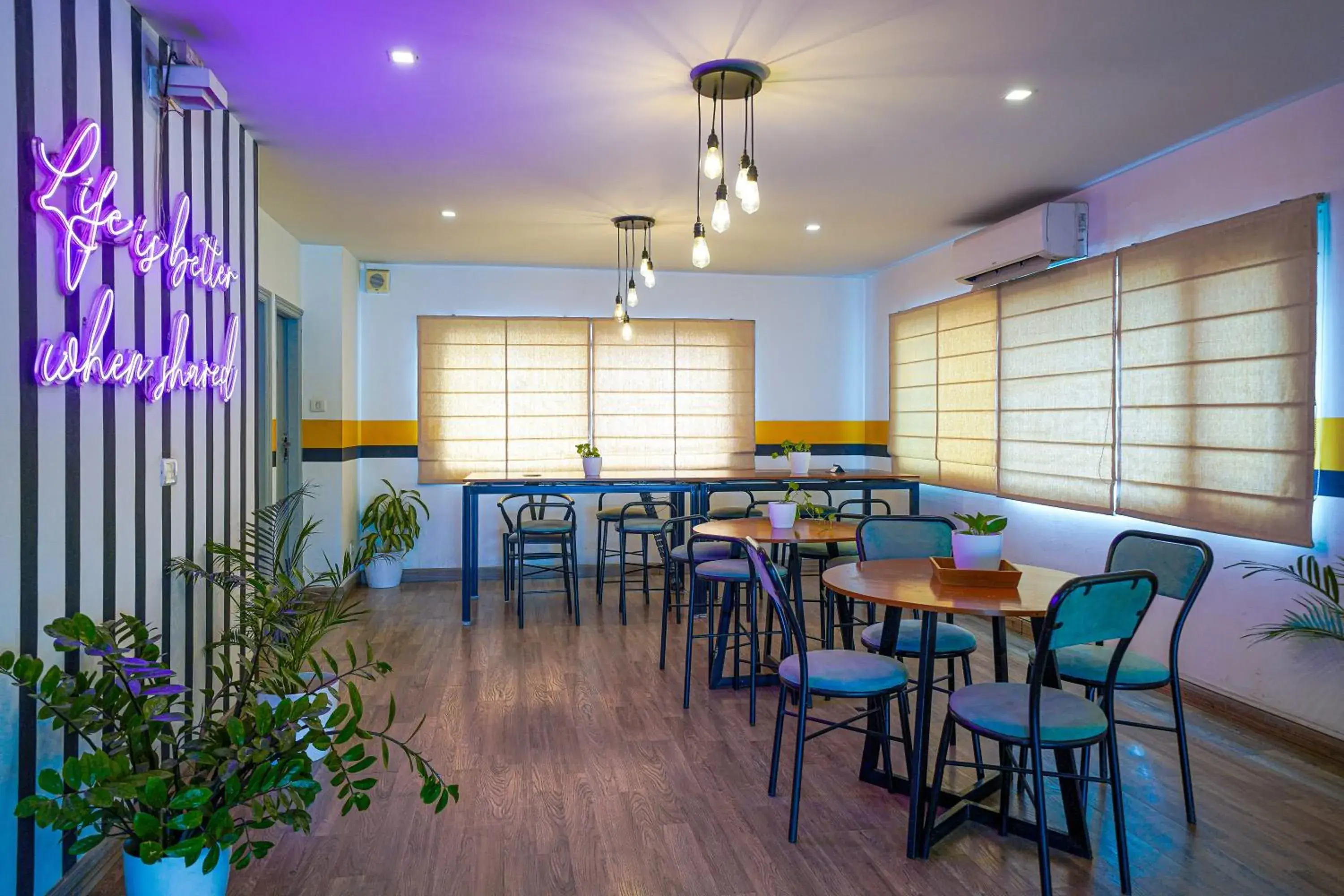 Restaurant/places to eat in Olive Zip Koramangala 100Ft Road by Embassy Group Restaurant/places to eat in Olive Zip Koramangala 100Ft Road by Embassy Group