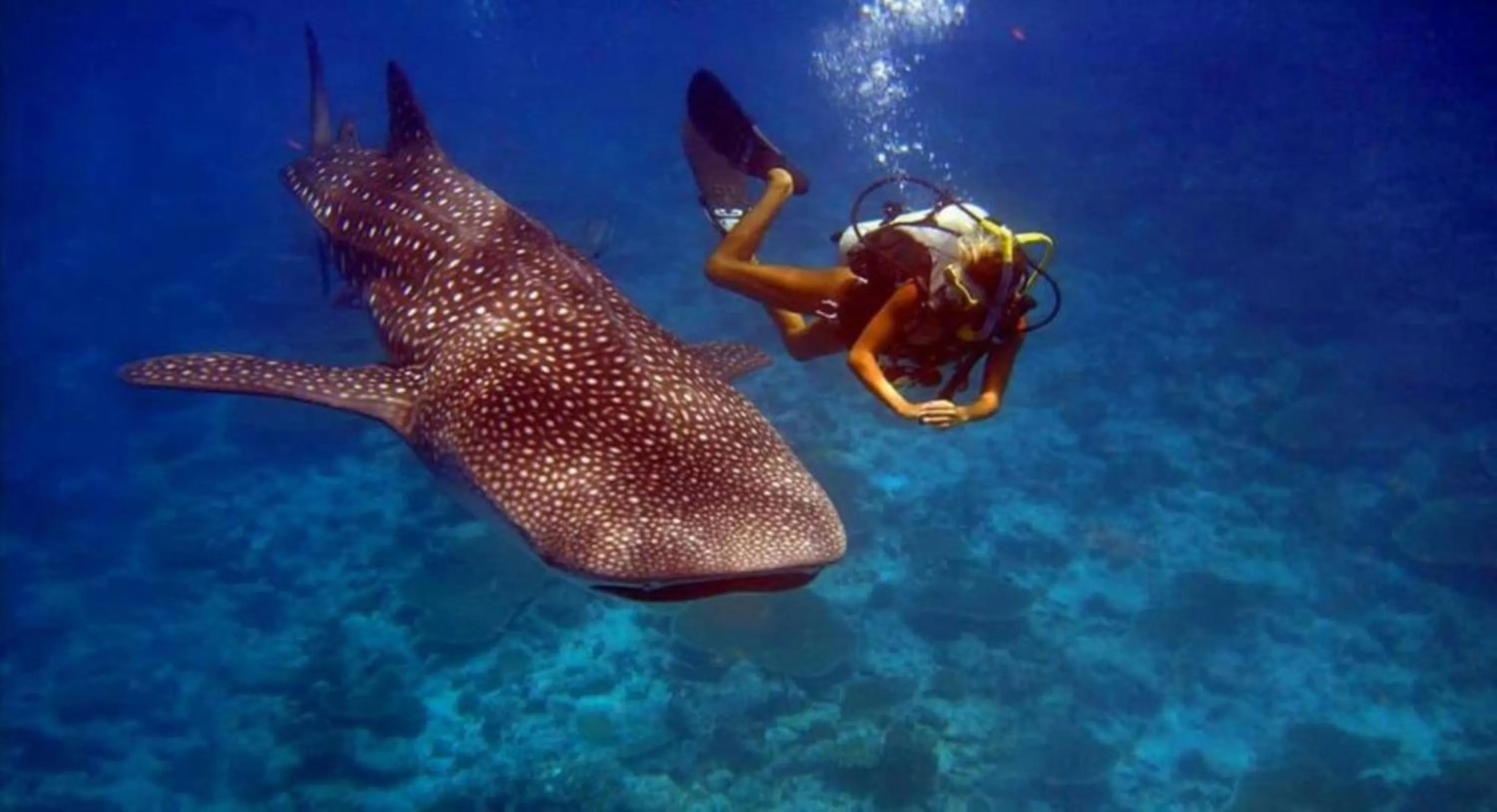 People in Batuta Maldives Fourson