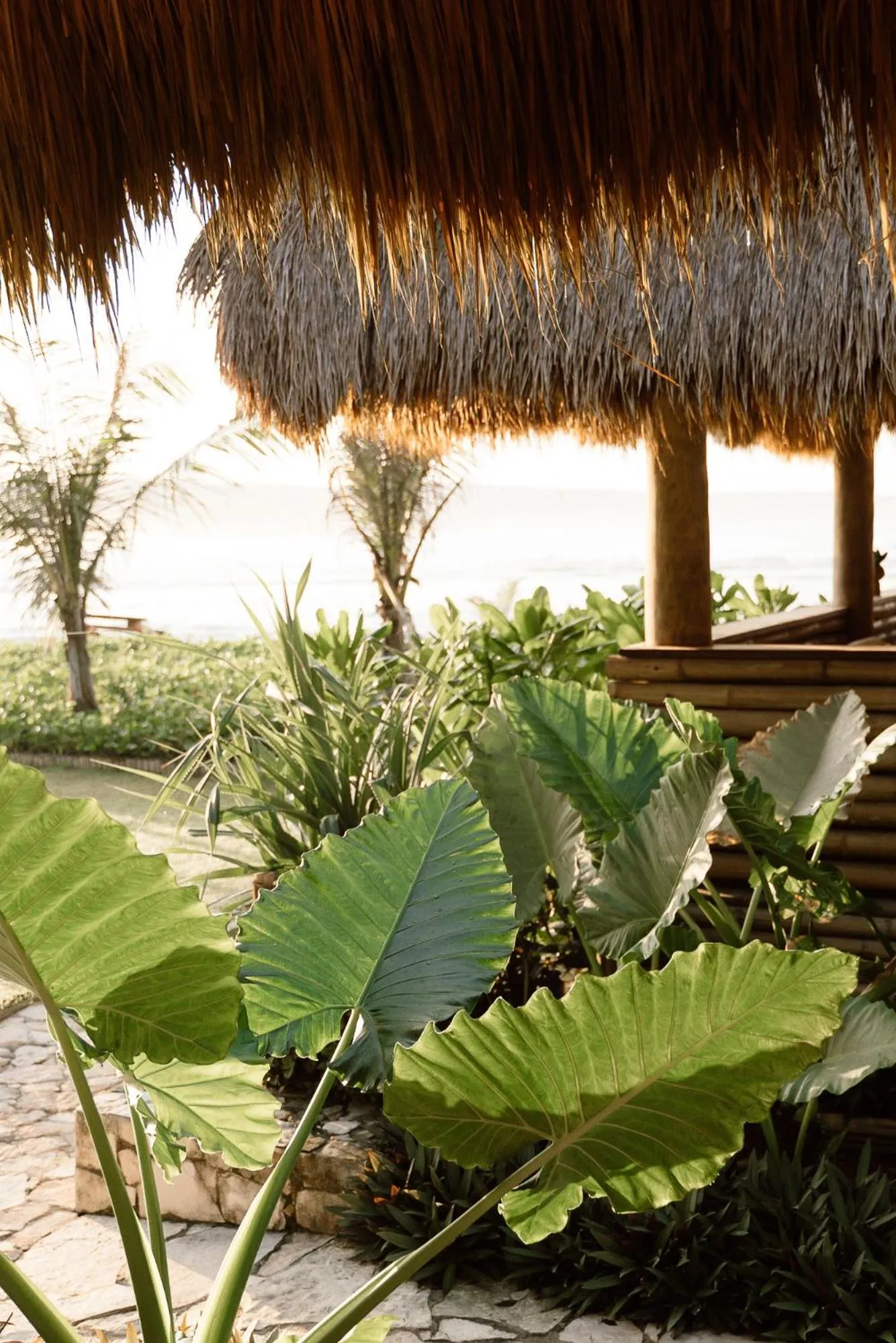Garden in Sumba Beach House