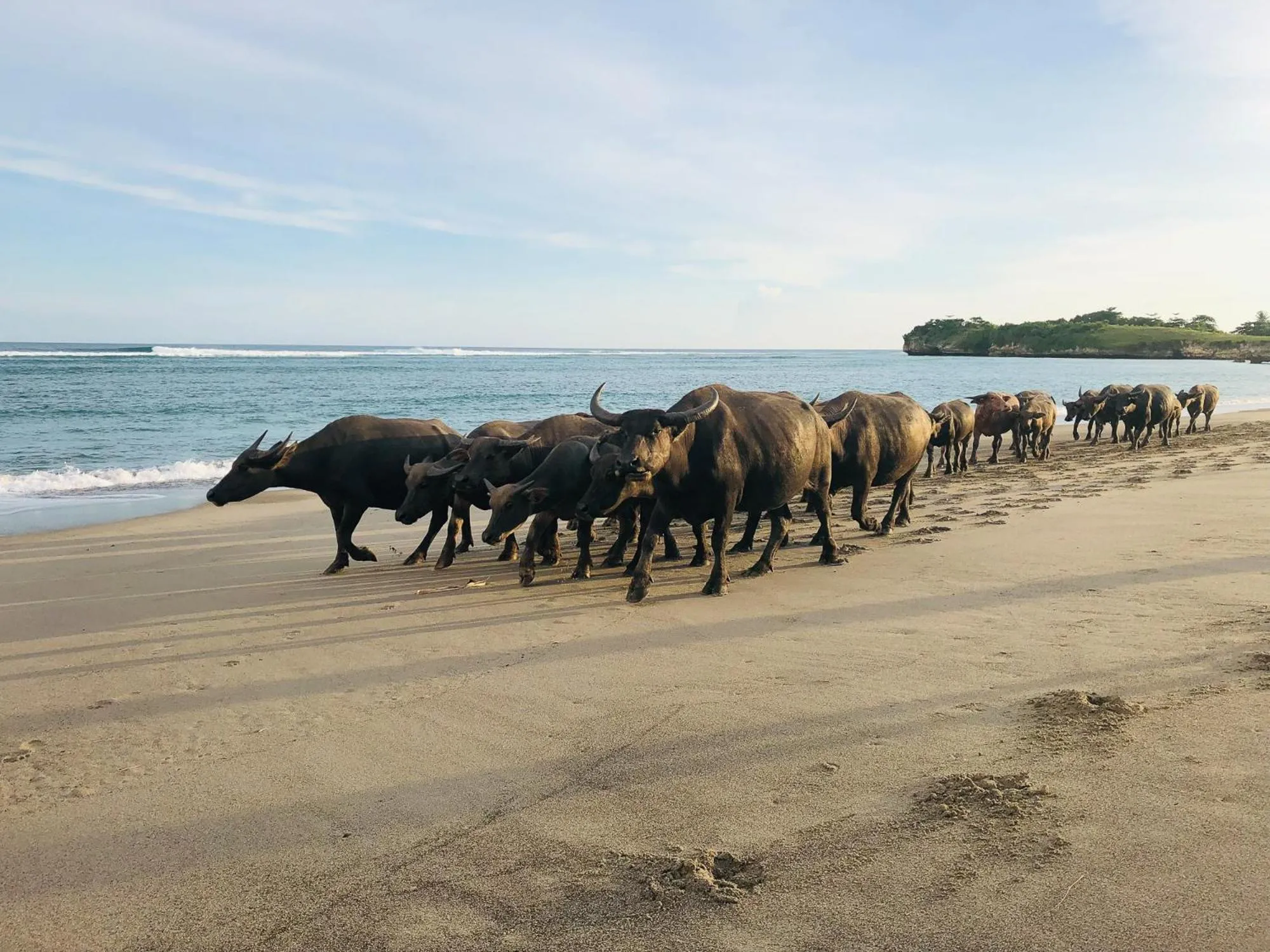 Beach in Sumba Beach House