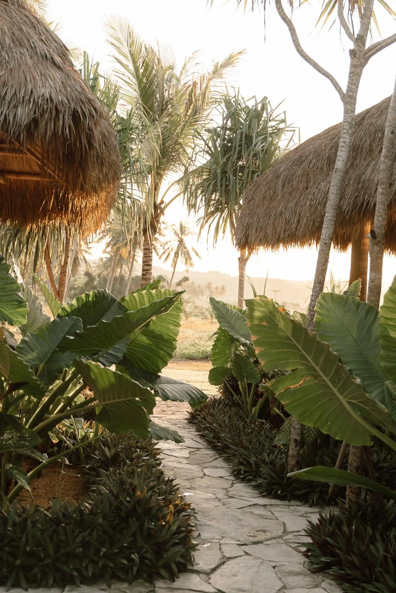 Garden in Sumba Beach House